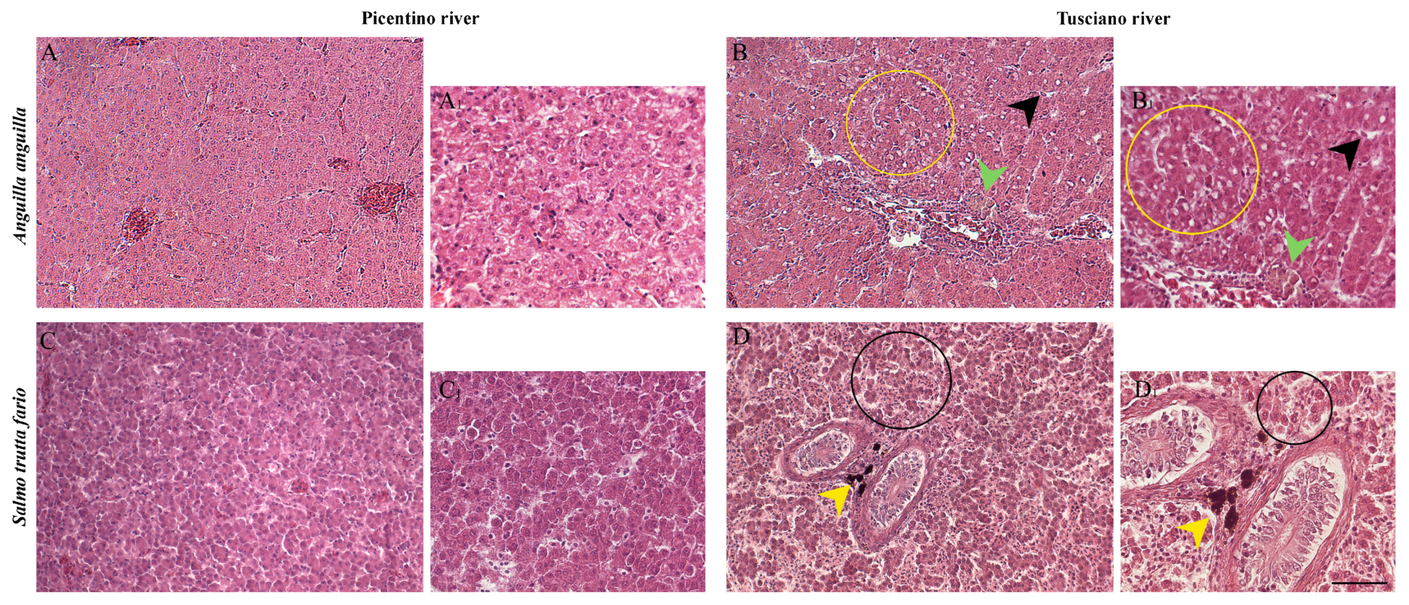 Environments 10 00219 g002 Environments 10 00219 g002