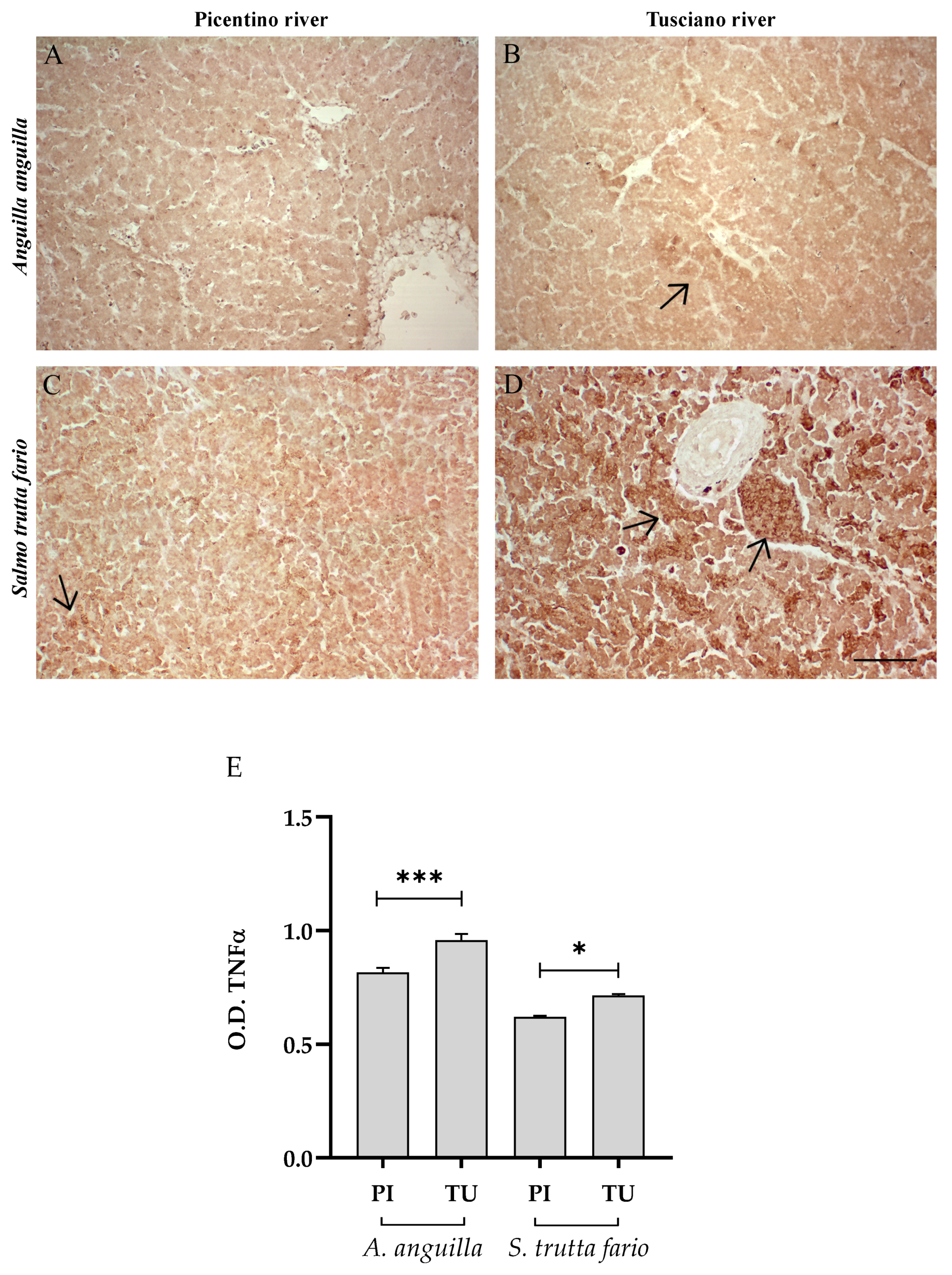 Environments 10 00219 g004 Environments 10 00219 g004