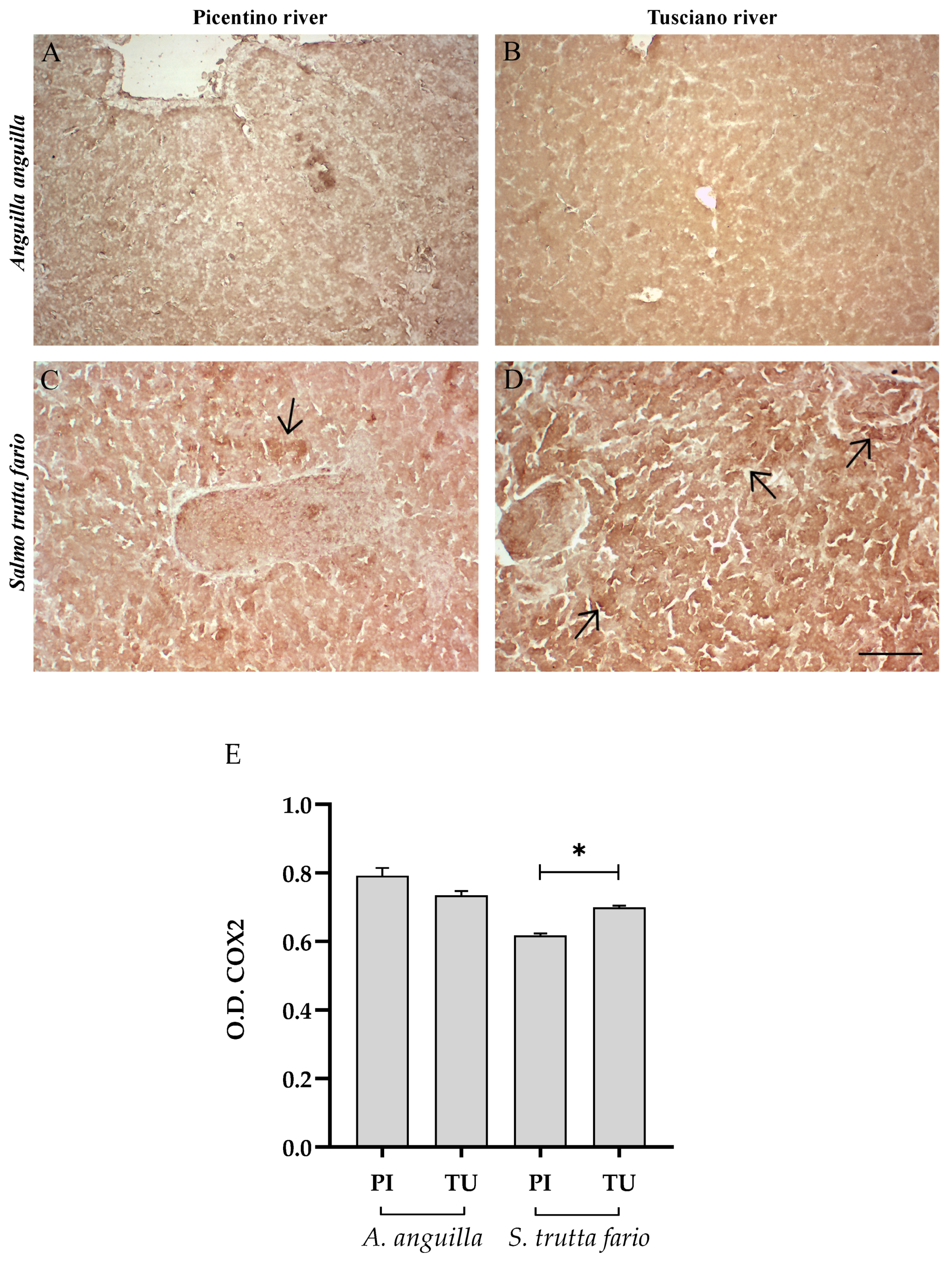 Environments 10 00219 g005 Environments 10 00219 g005