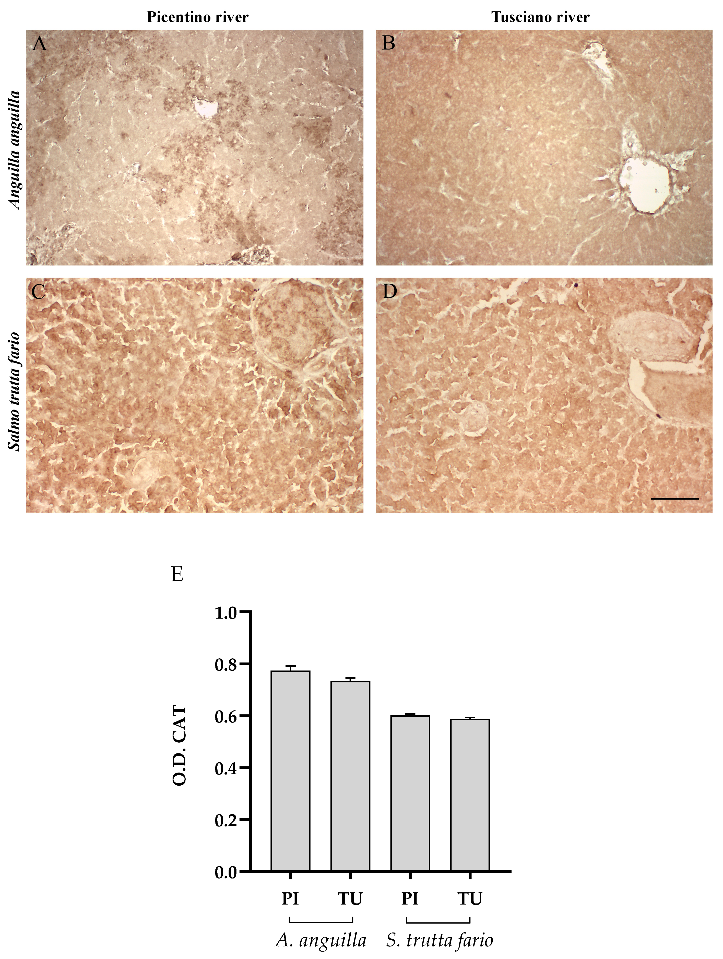 Environments 10 00219 g006 Environments 10 00219 g006