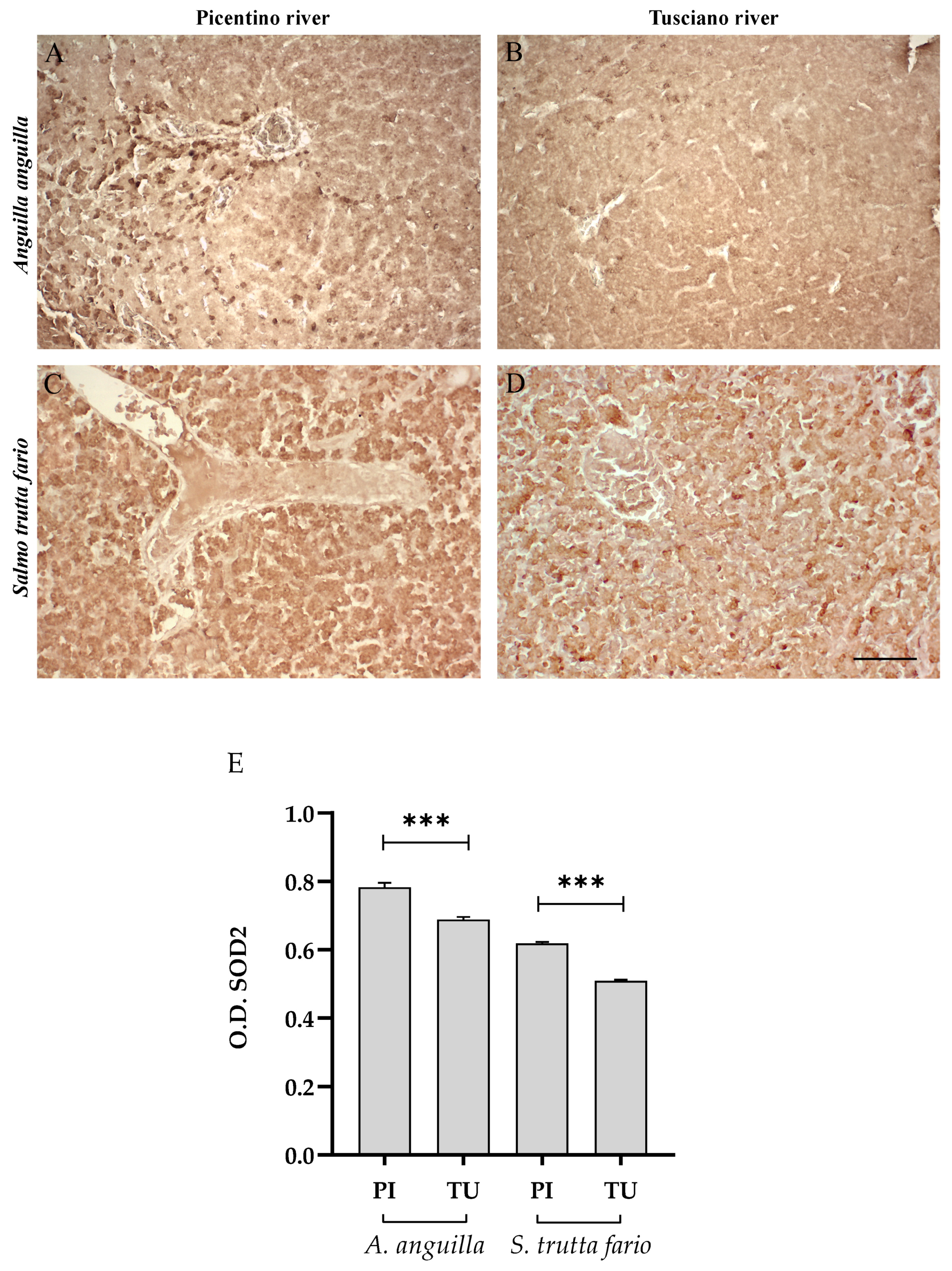 Environments 10 00219 g007 Environments 10 00219 g007