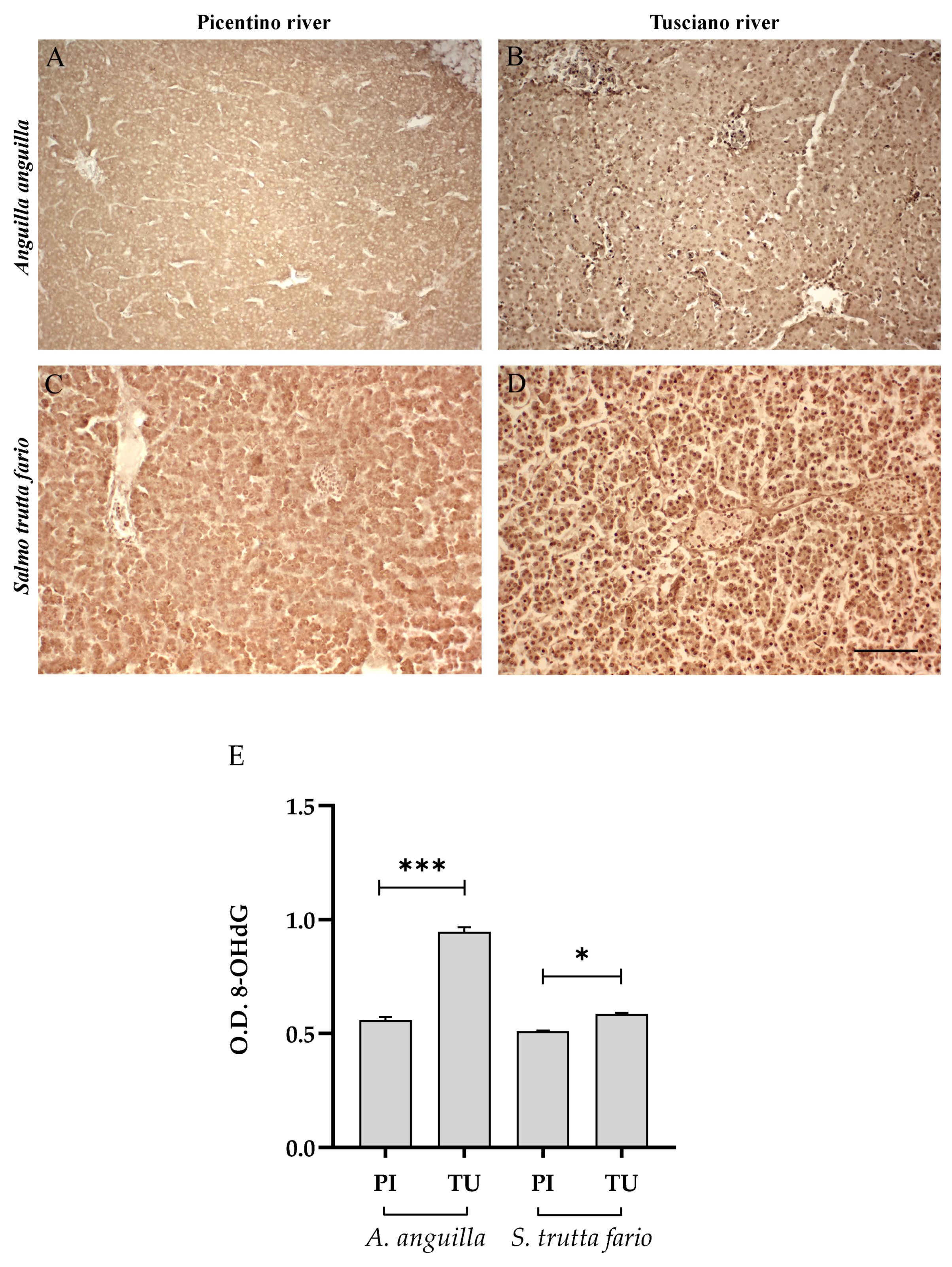 Environments 10 00219 g008 Environments 10 00219 g008