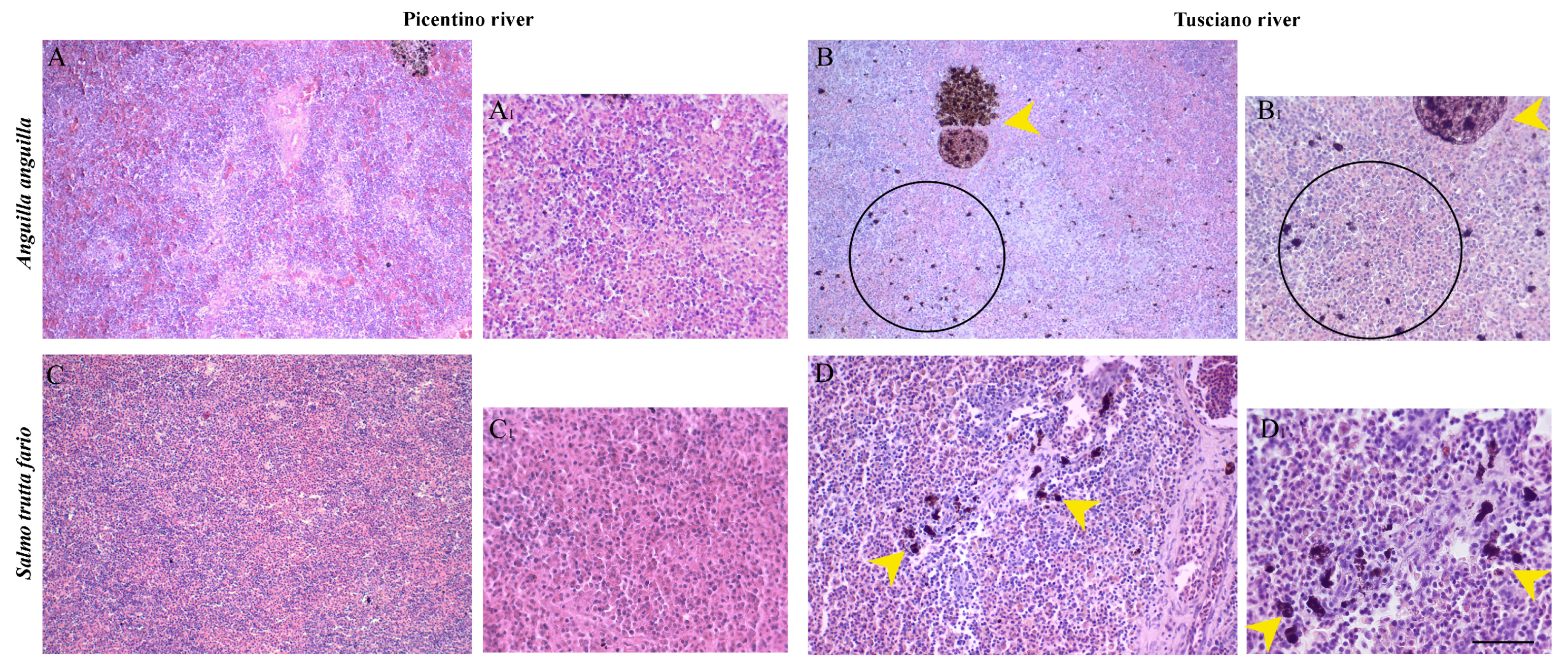 Environments 10 00219 g009 Environments 10 00219 g009