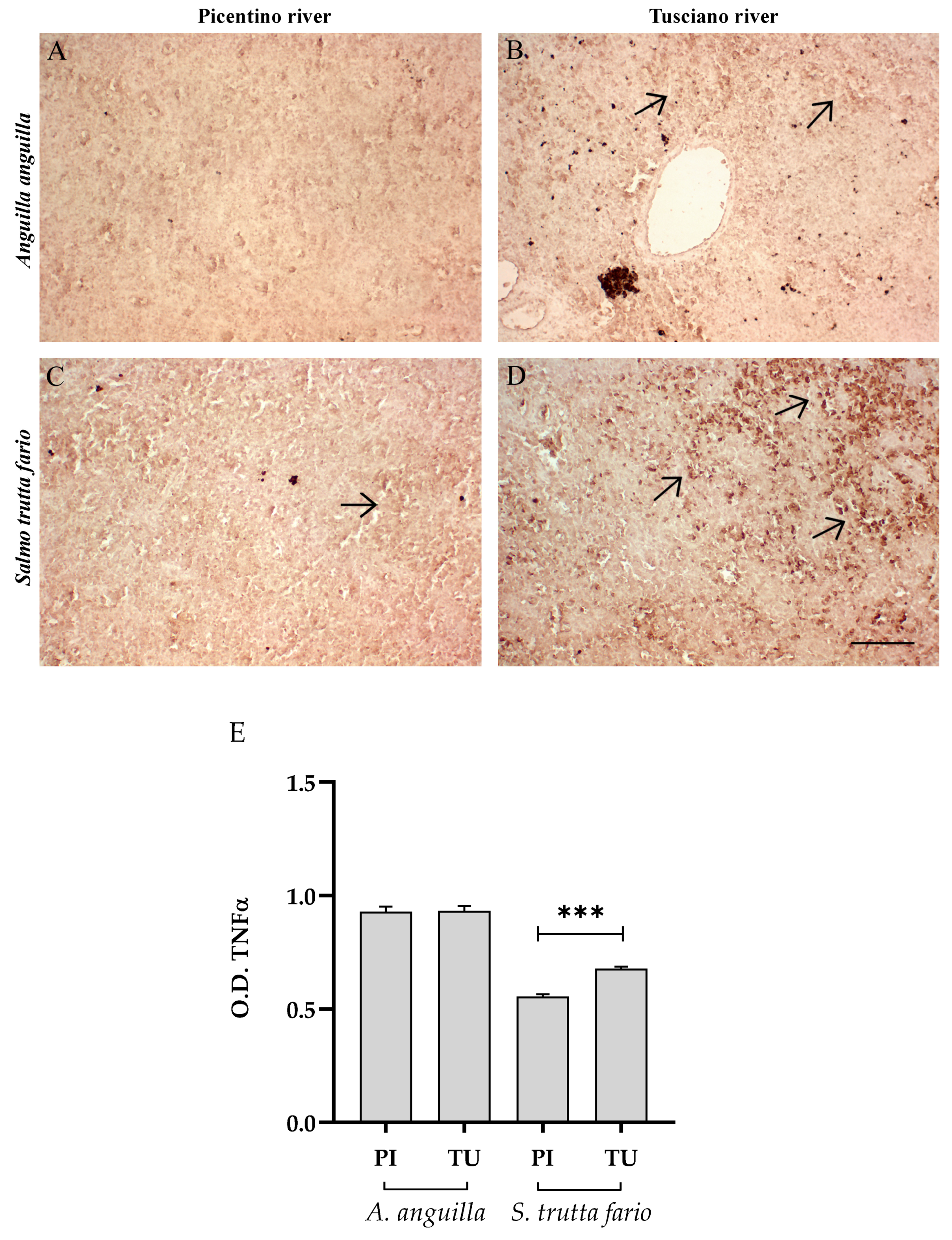 Environments 10 00219 g012 Environments 10 00219 g012