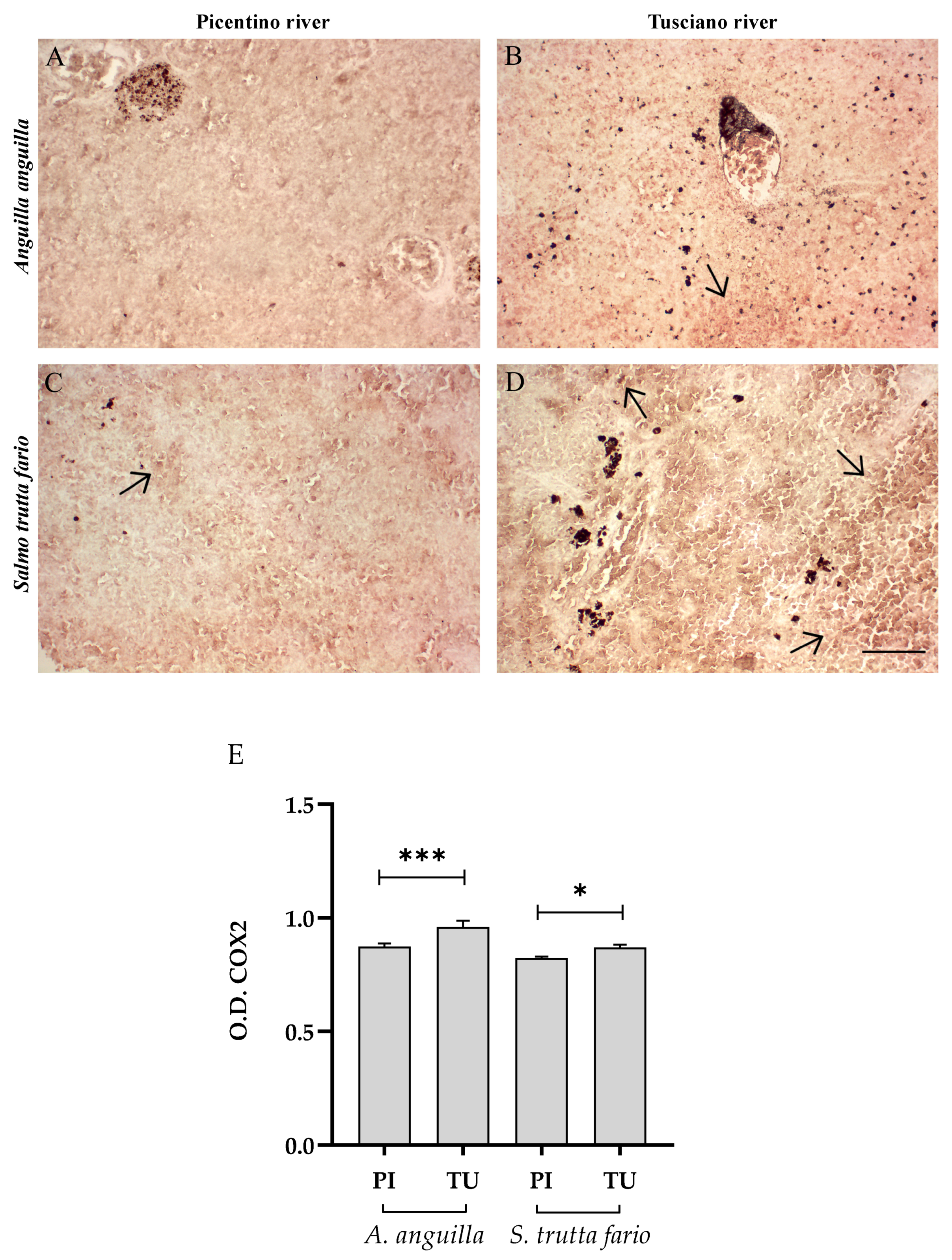 Environments 10 00219 g013 Environments 10 00219 g013