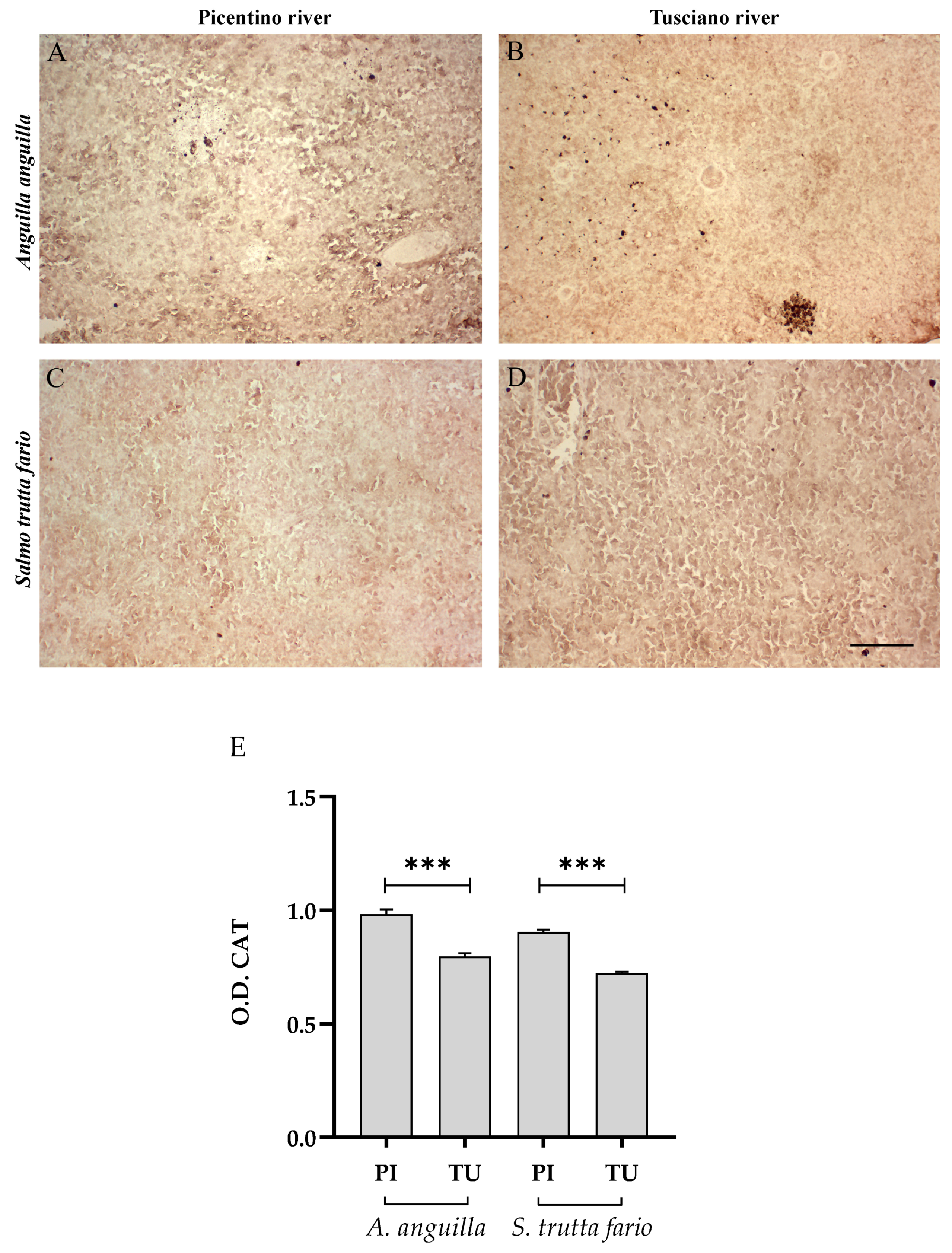 Environments 10 00219 g014 Environments 10 00219 g014