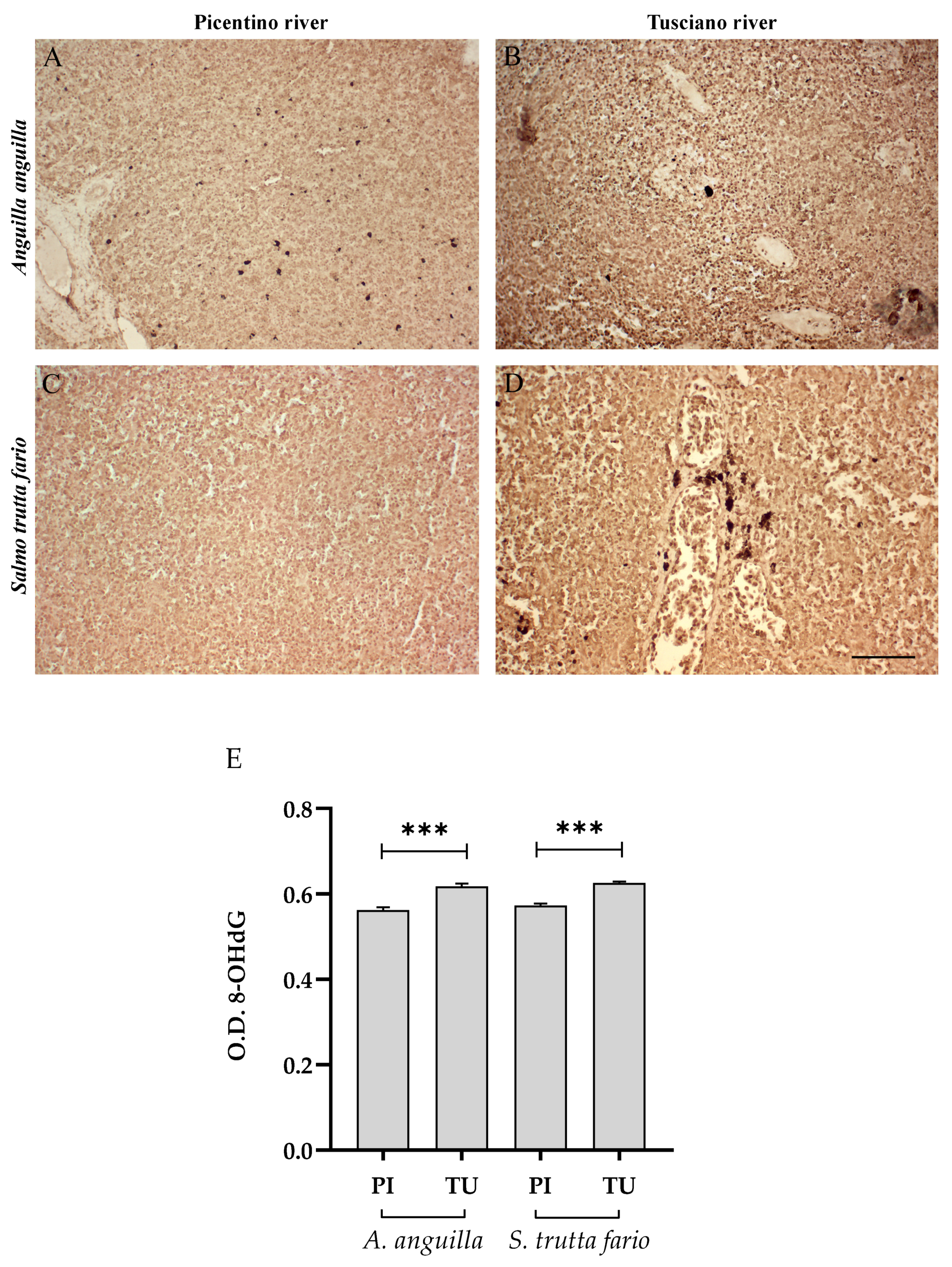 Environments 10 00219 g016 Environments 10 00219 g016