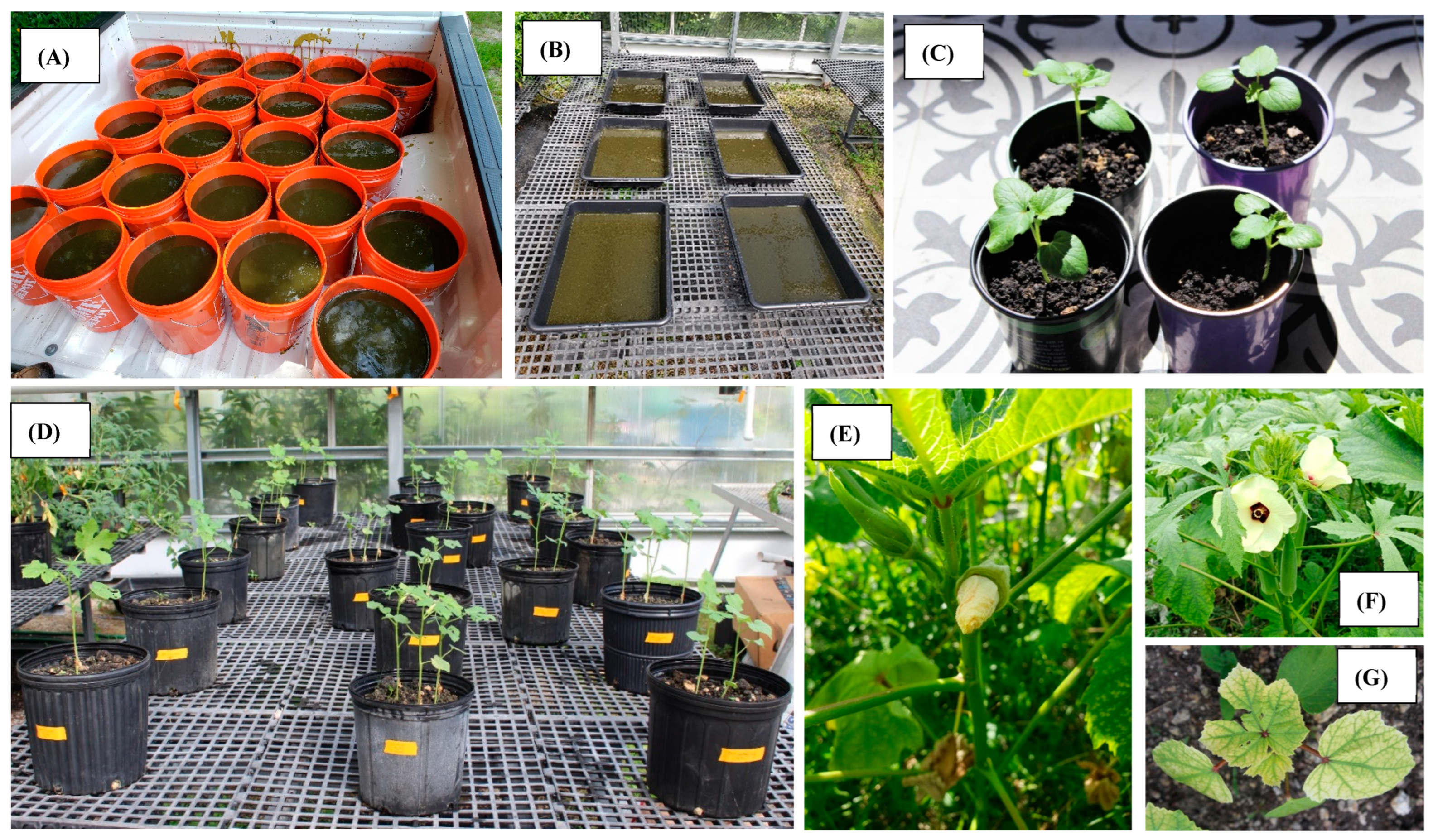 Environments 11 00045 g001