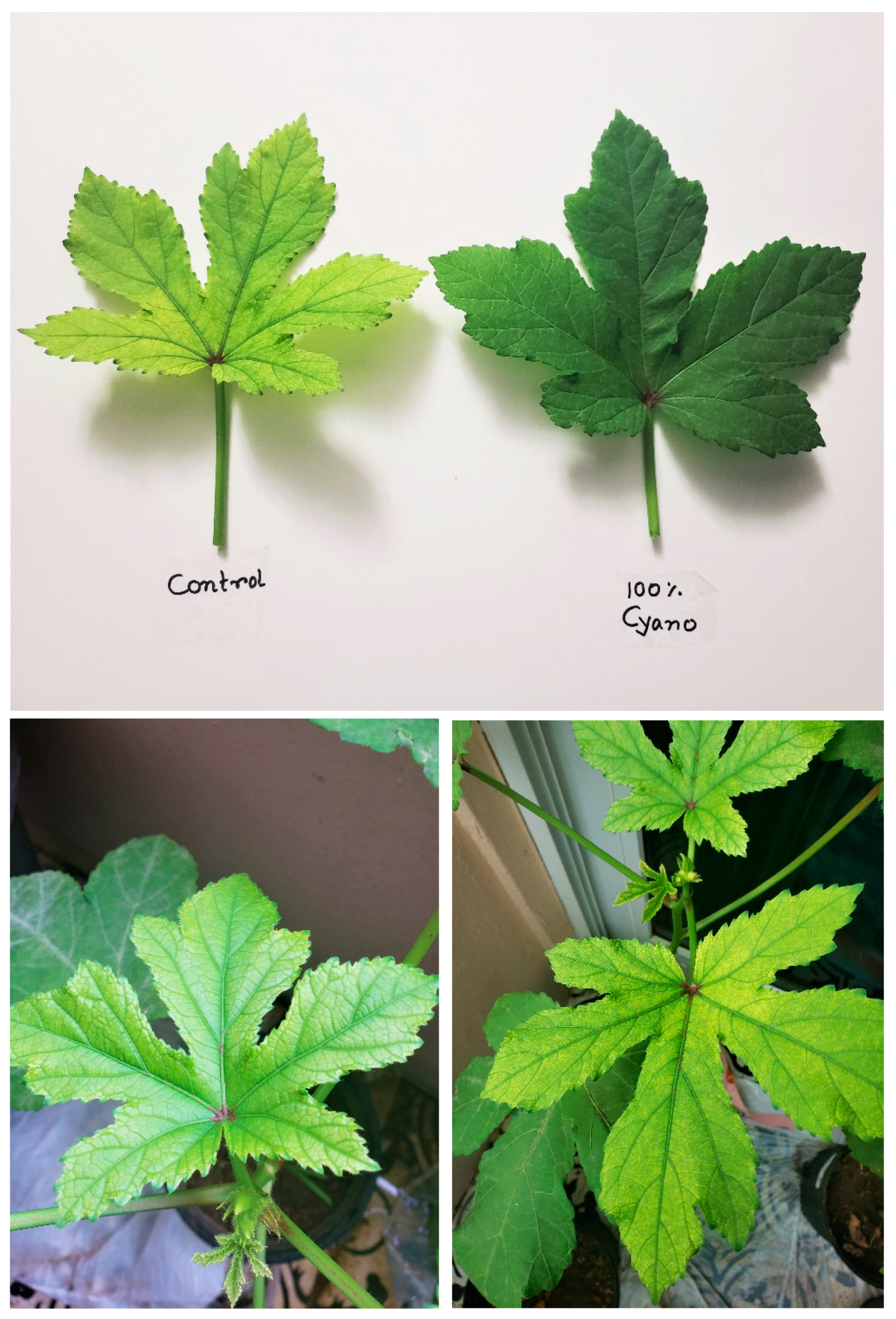 Environments 11 00045 g003