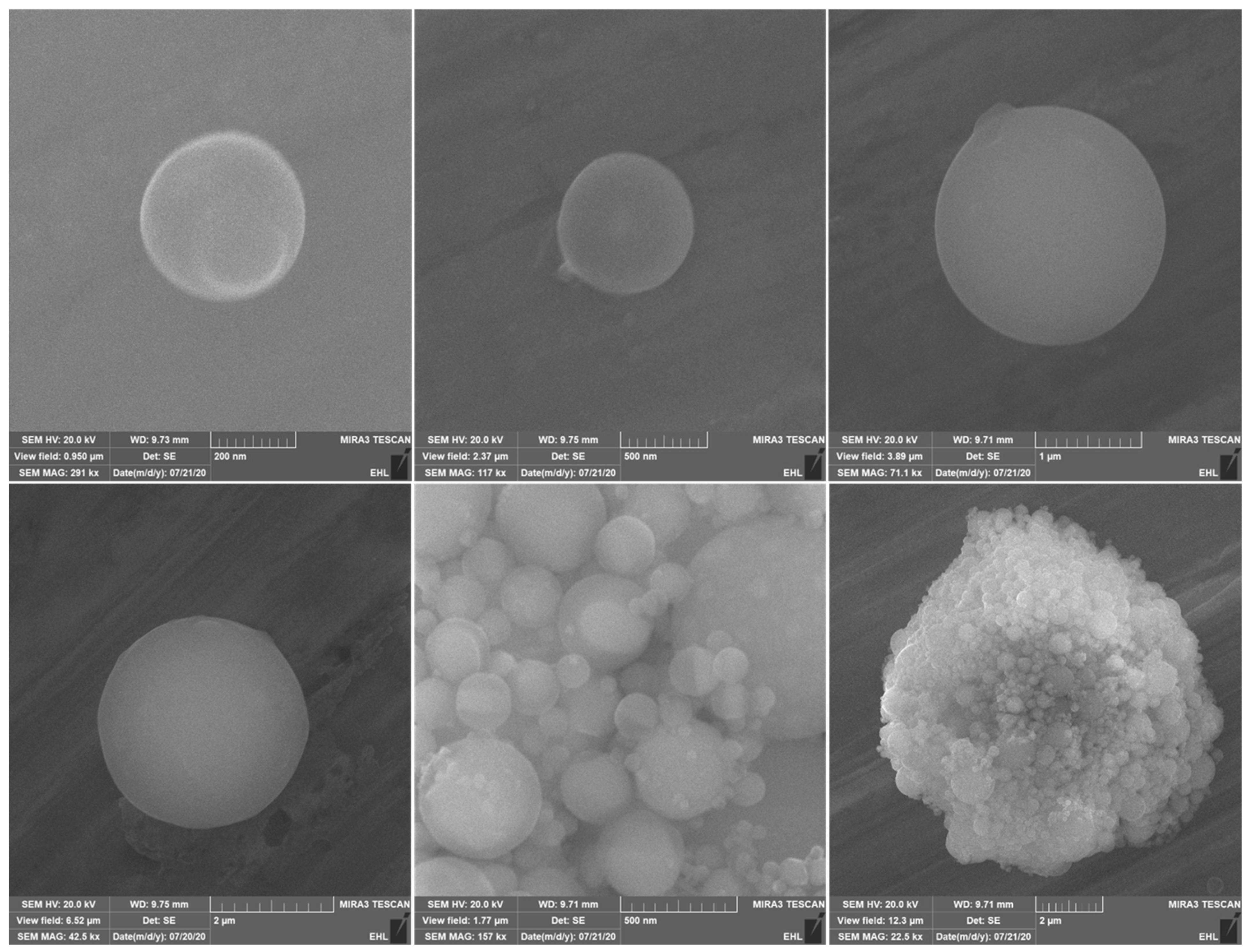 Environments 11 00063 g010