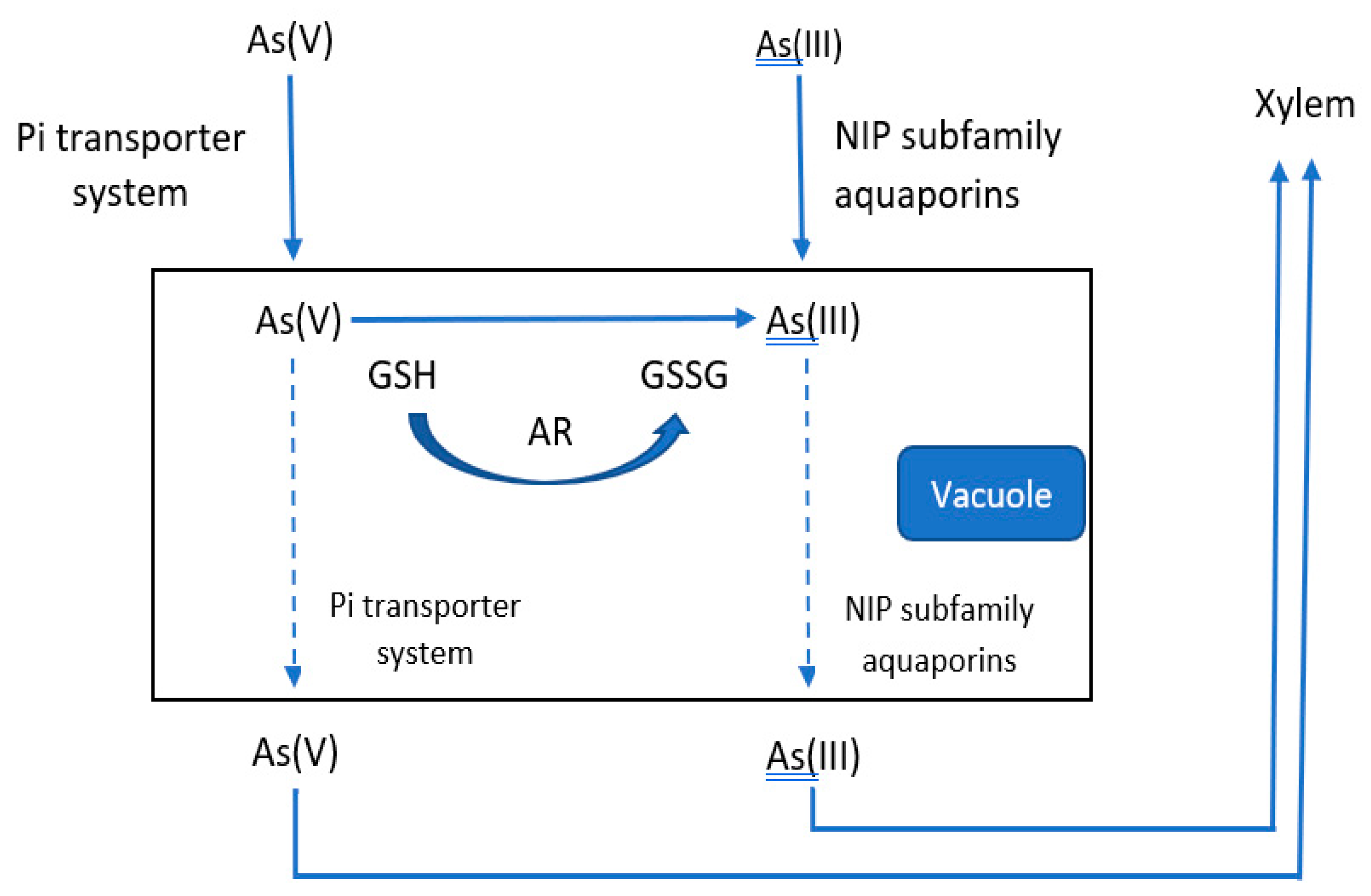 Environments 11 00099 g004