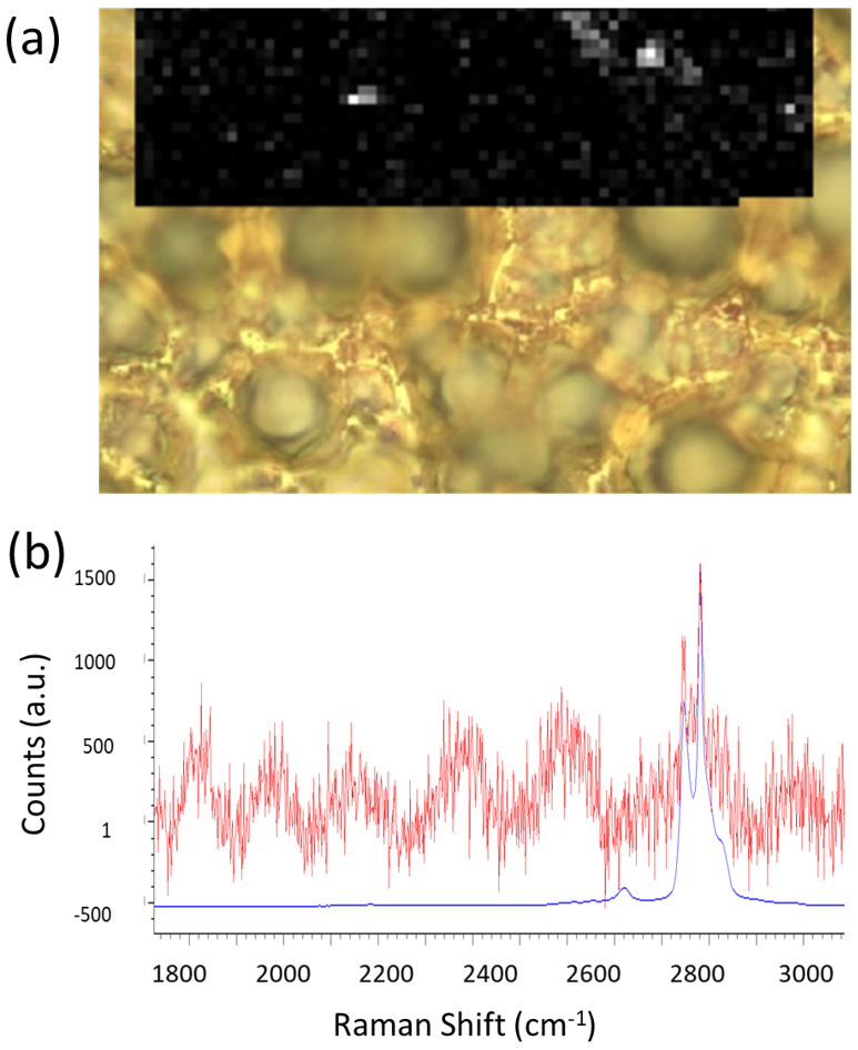 Environments 11 00112 g006
