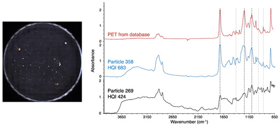 Environments 11 00141 g003