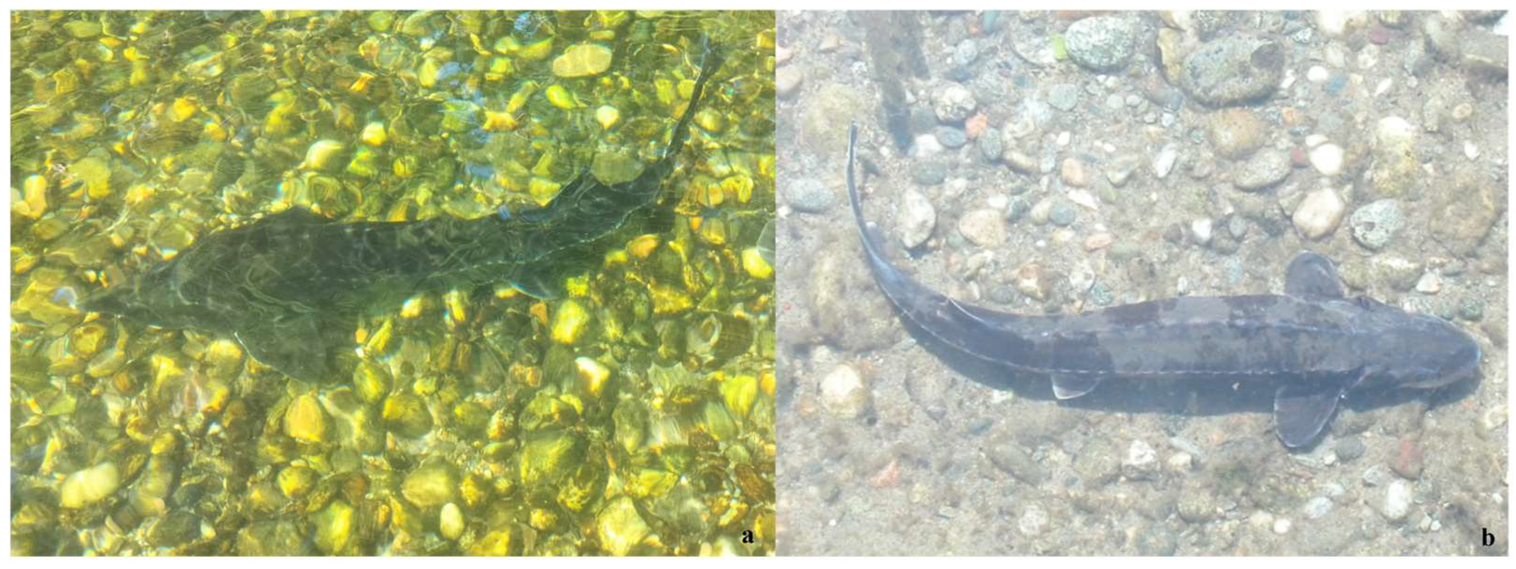 Environments 11 00160 g001