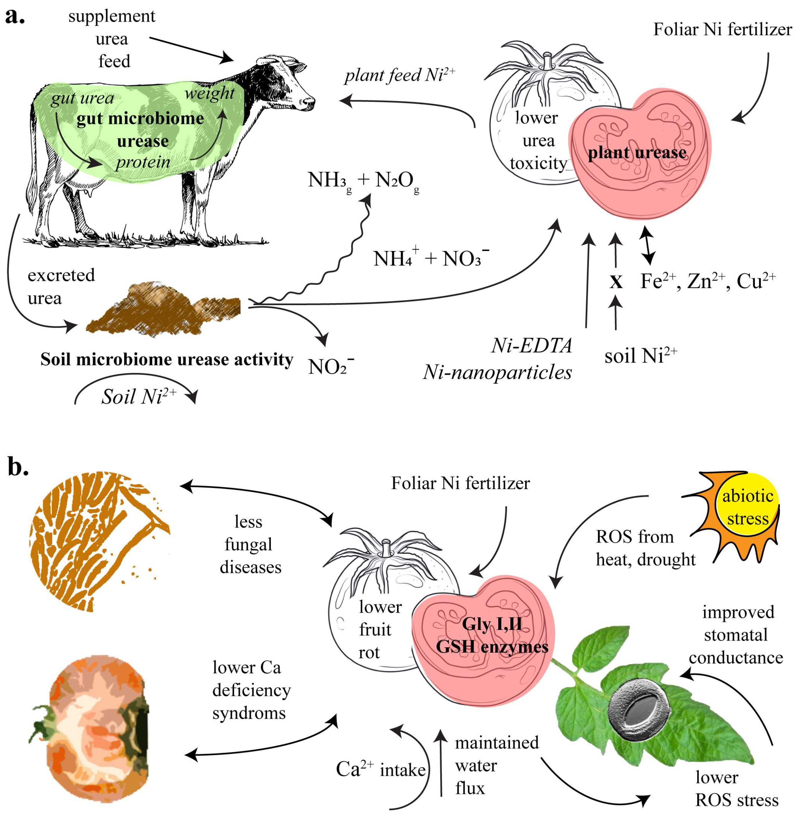 Environments 11 00177 g001