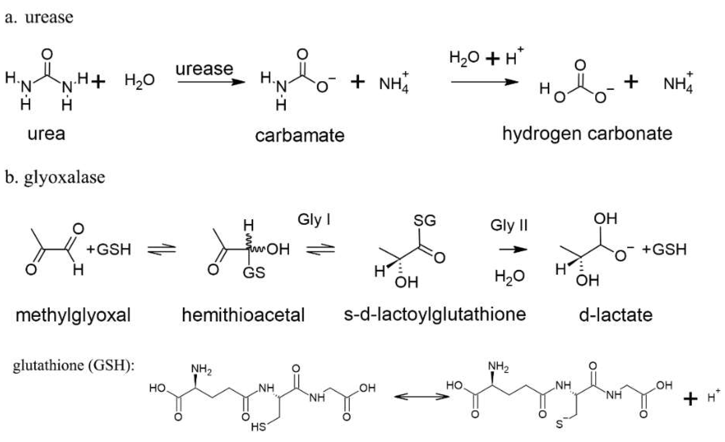 Environments 11 00177 g002