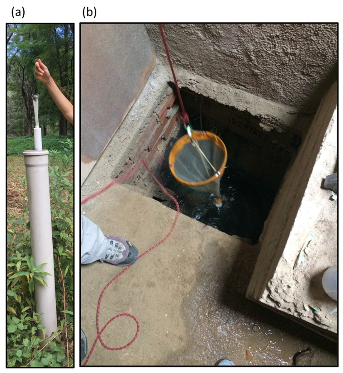 Environments 12 00032 g001