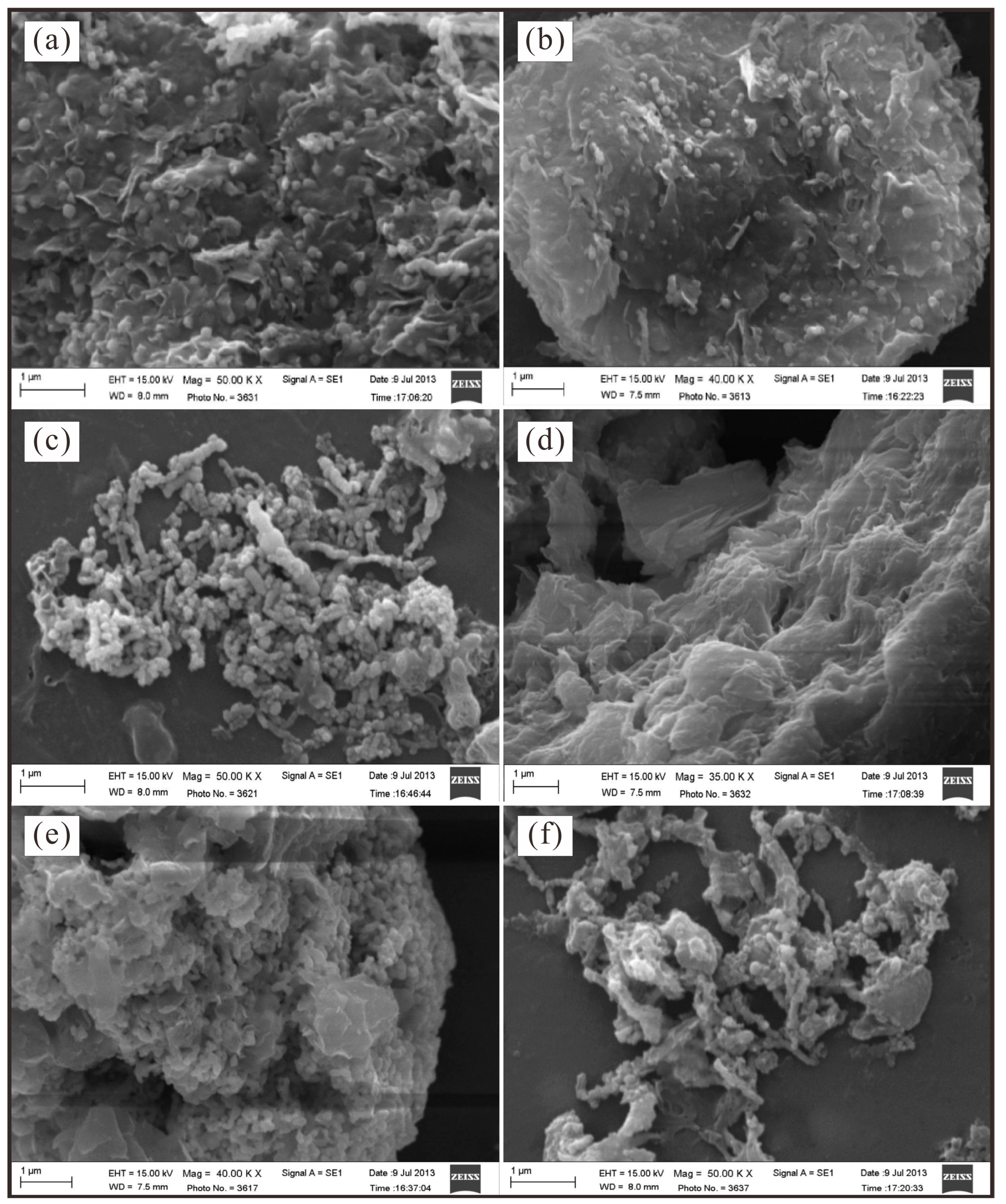 Environments 12 00065 g001