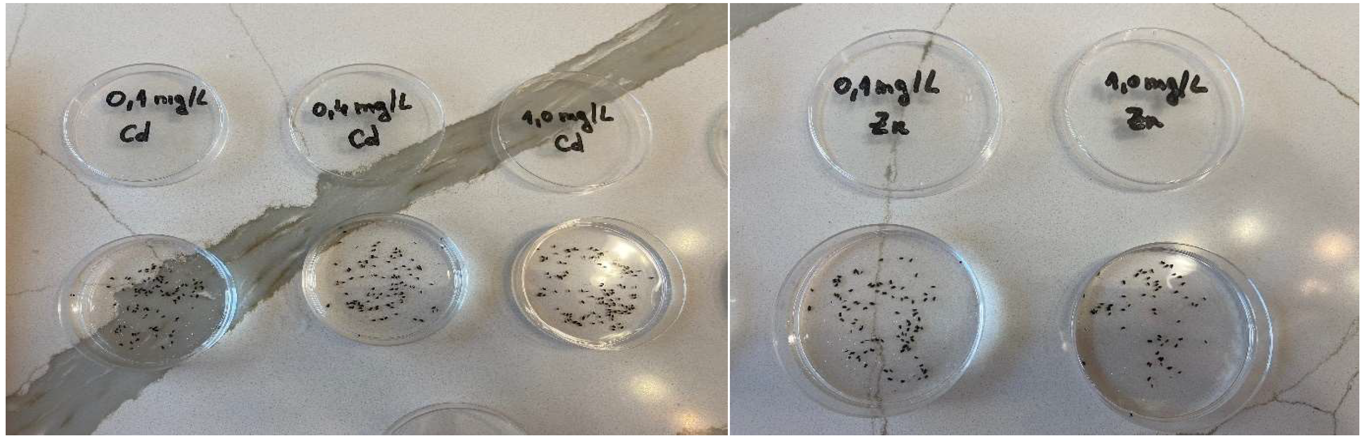 Environments 12 00070 g002