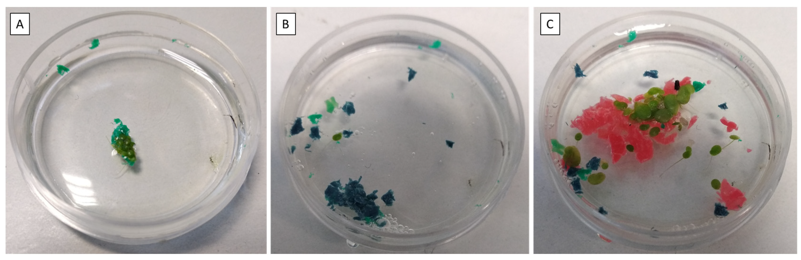 Environments 12 00080 g003