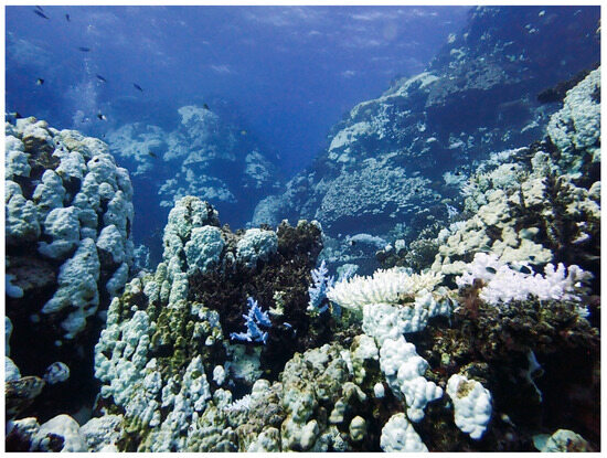 Environments 12 00248 g008