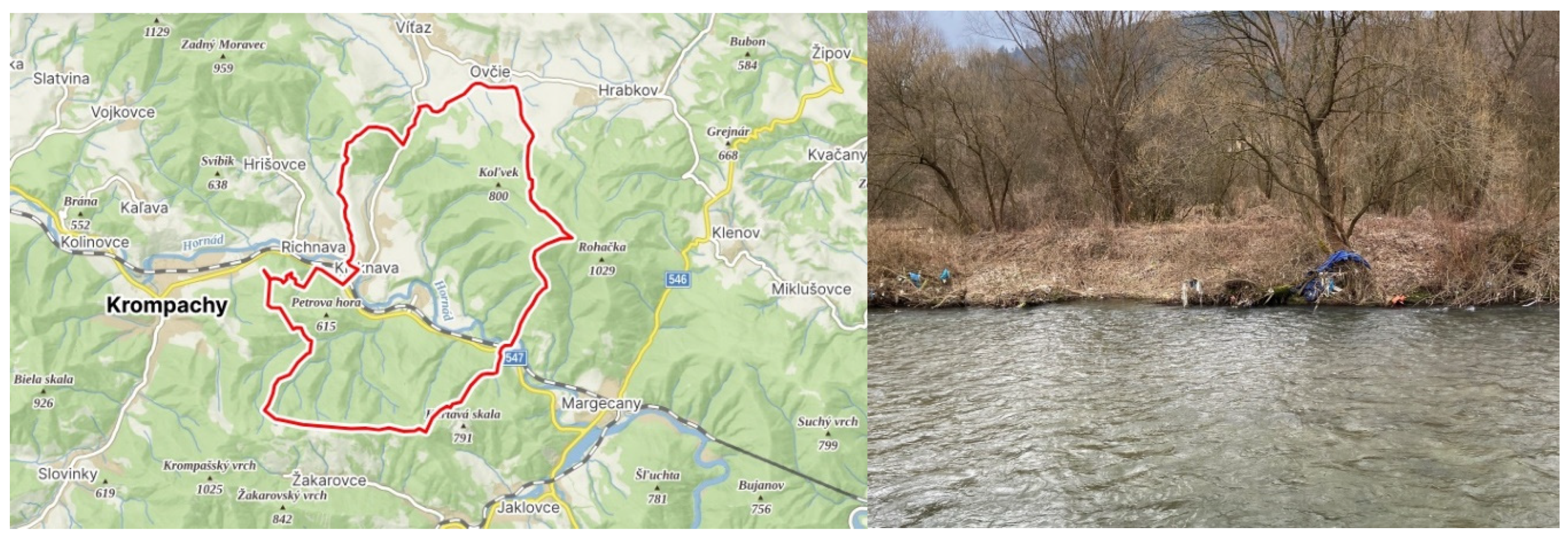 Environments 12 00251 g002