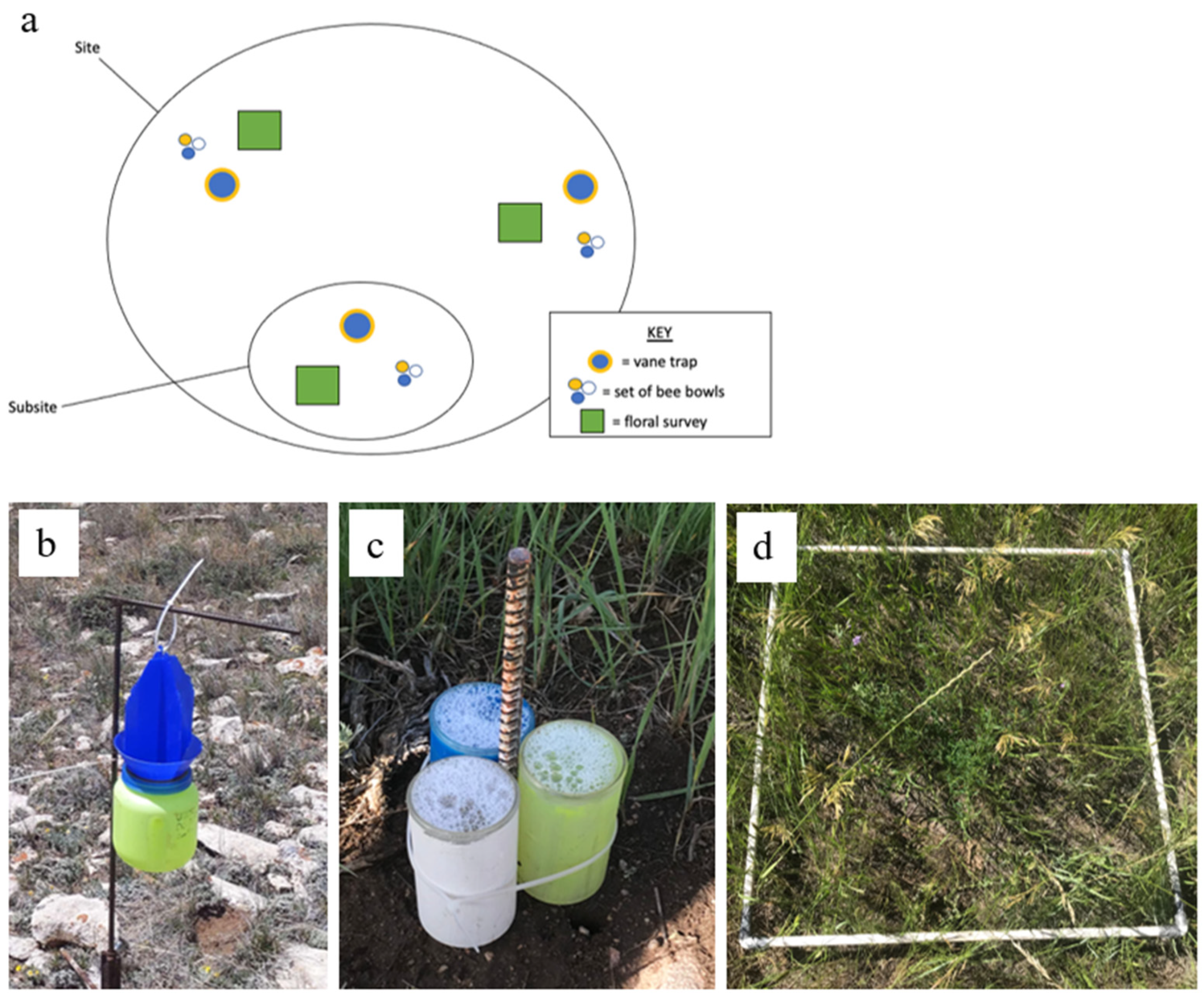 Environments 12 00301 g002
