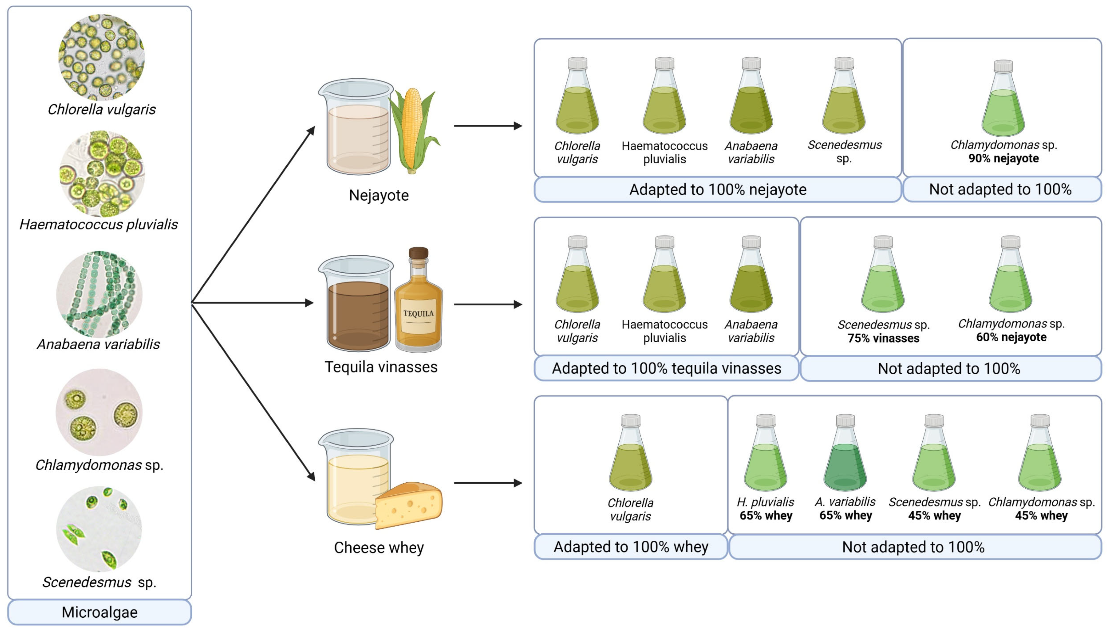 Environments 12 00307 g001