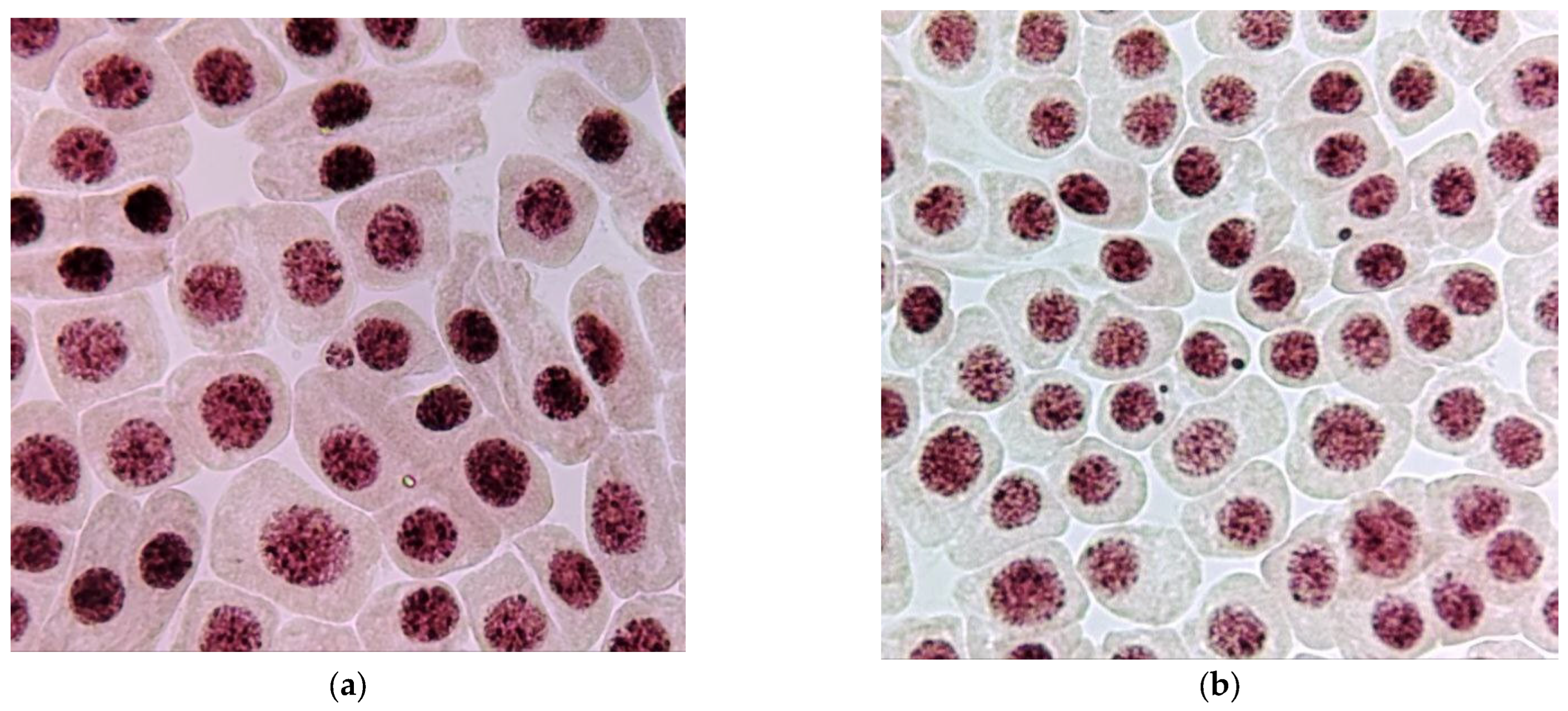 Environments 12 00321 g0a3 Environments 12 00321 g0a3