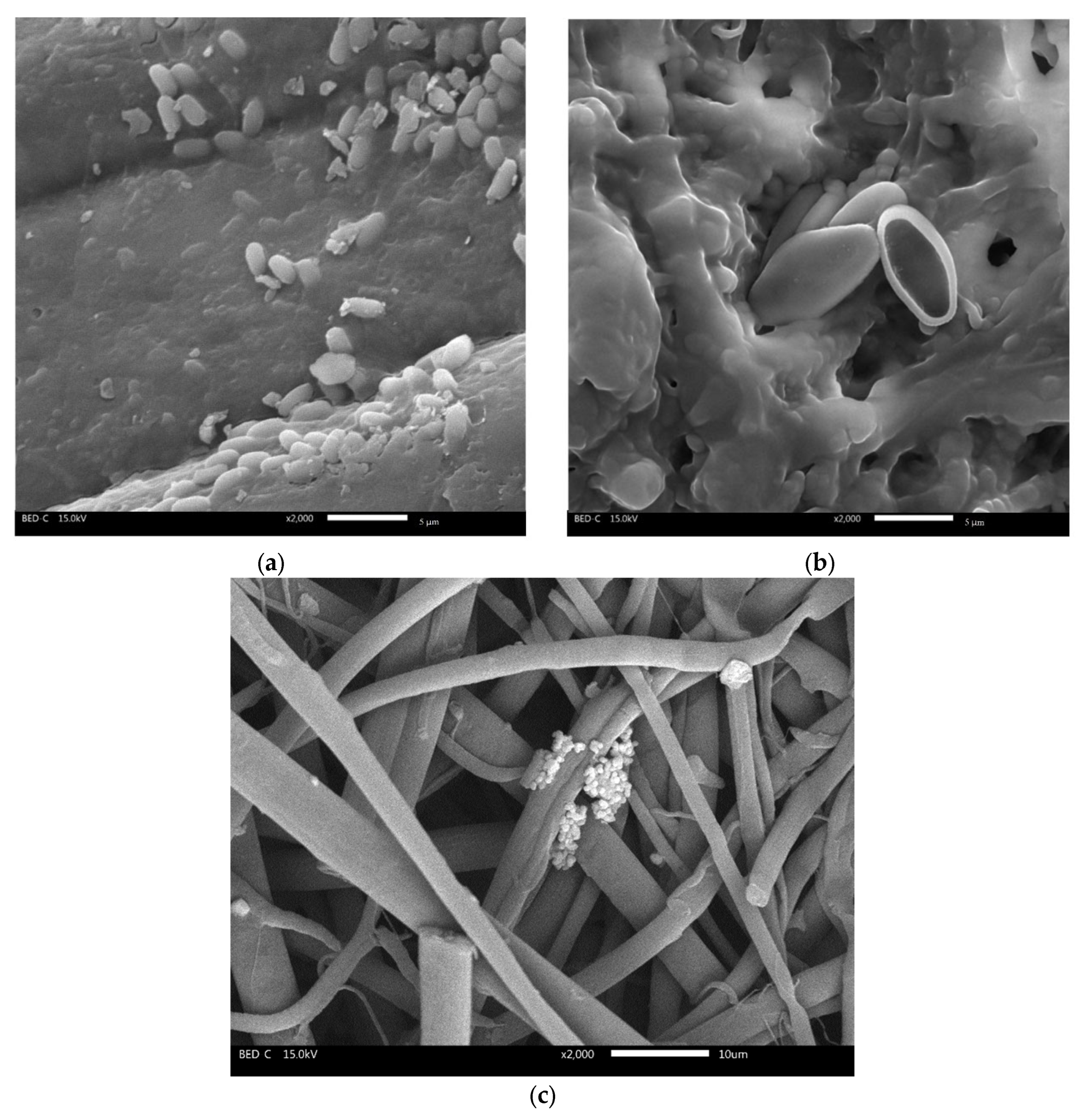 Environments 12 00355 g008