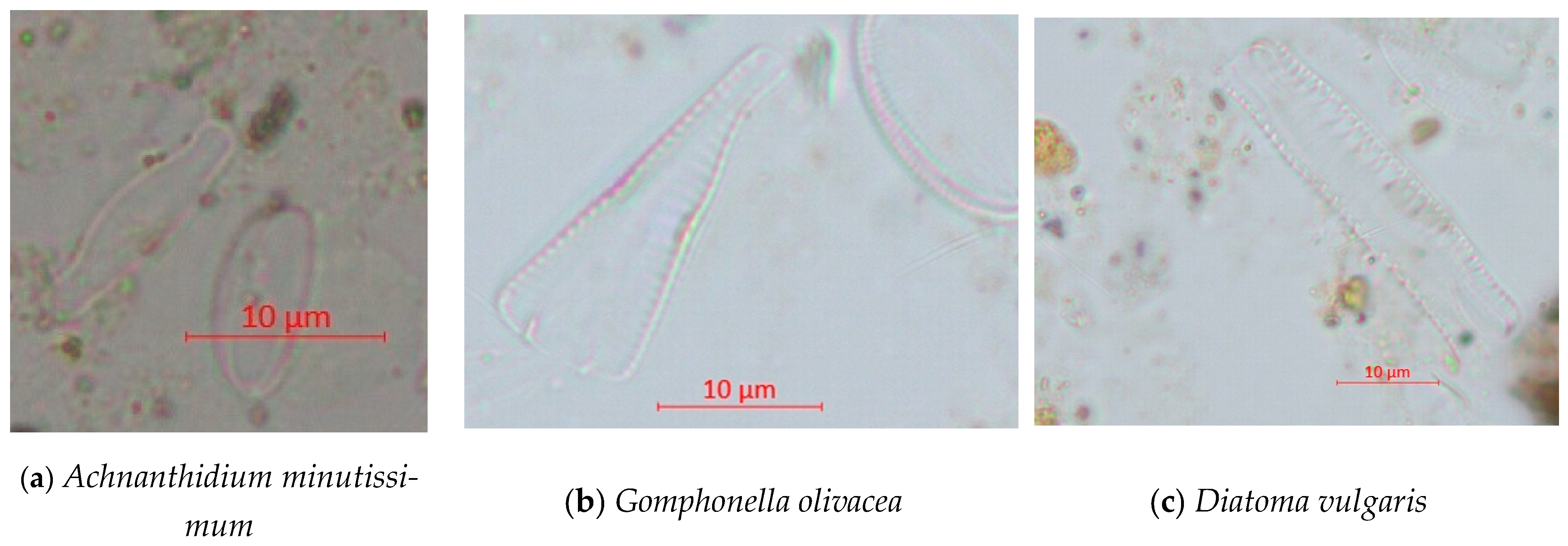 Environments 12 00398 g003a