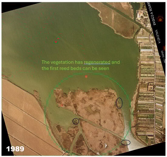 Environments 12 00432 g0a5