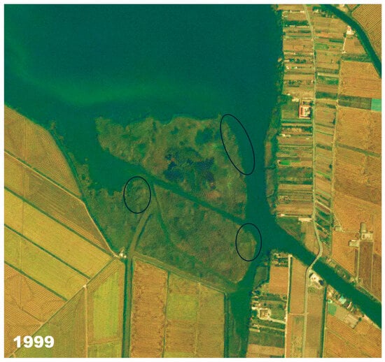 Environments 12 00432 g0a6