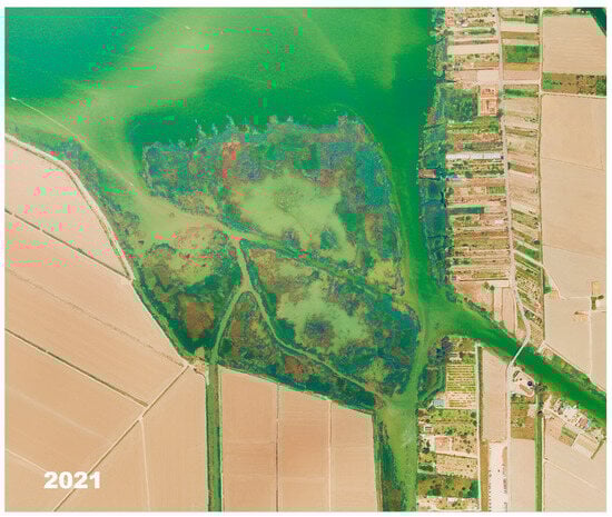 Environments 12 00432 g0a9