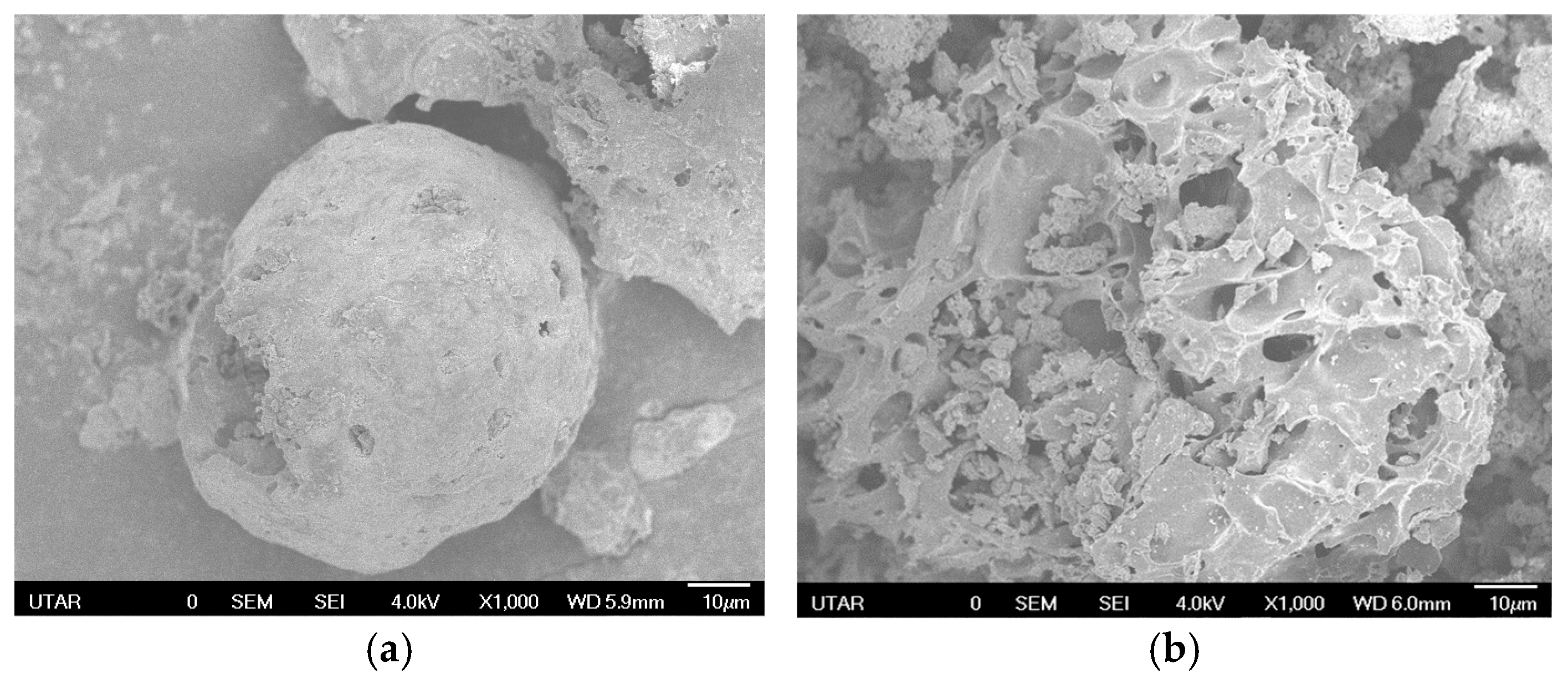 Environments 13 00022 g004 Environments 13 00022 g004