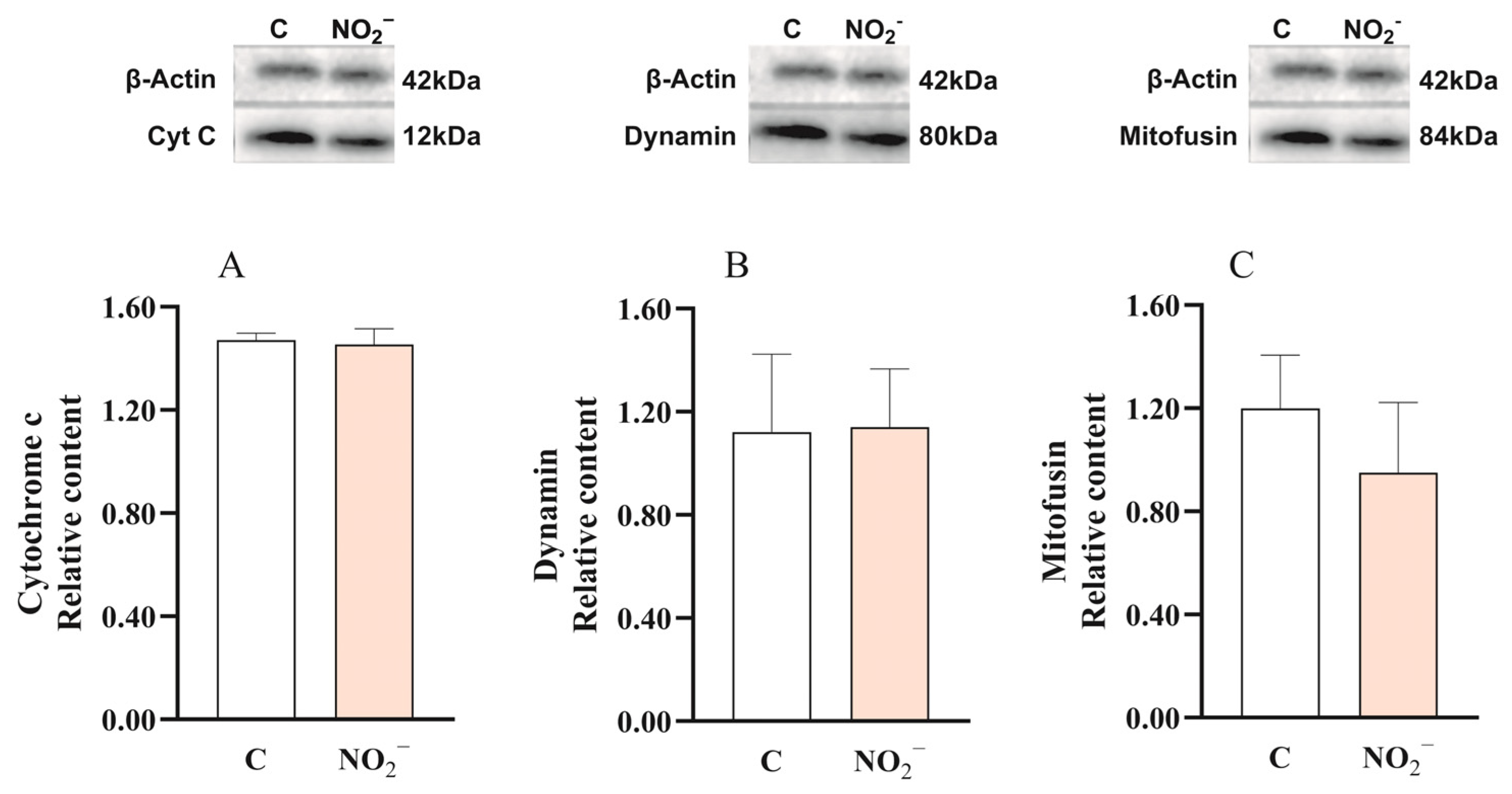 Environments 13 00049 g004 Environments 13 00049 g004