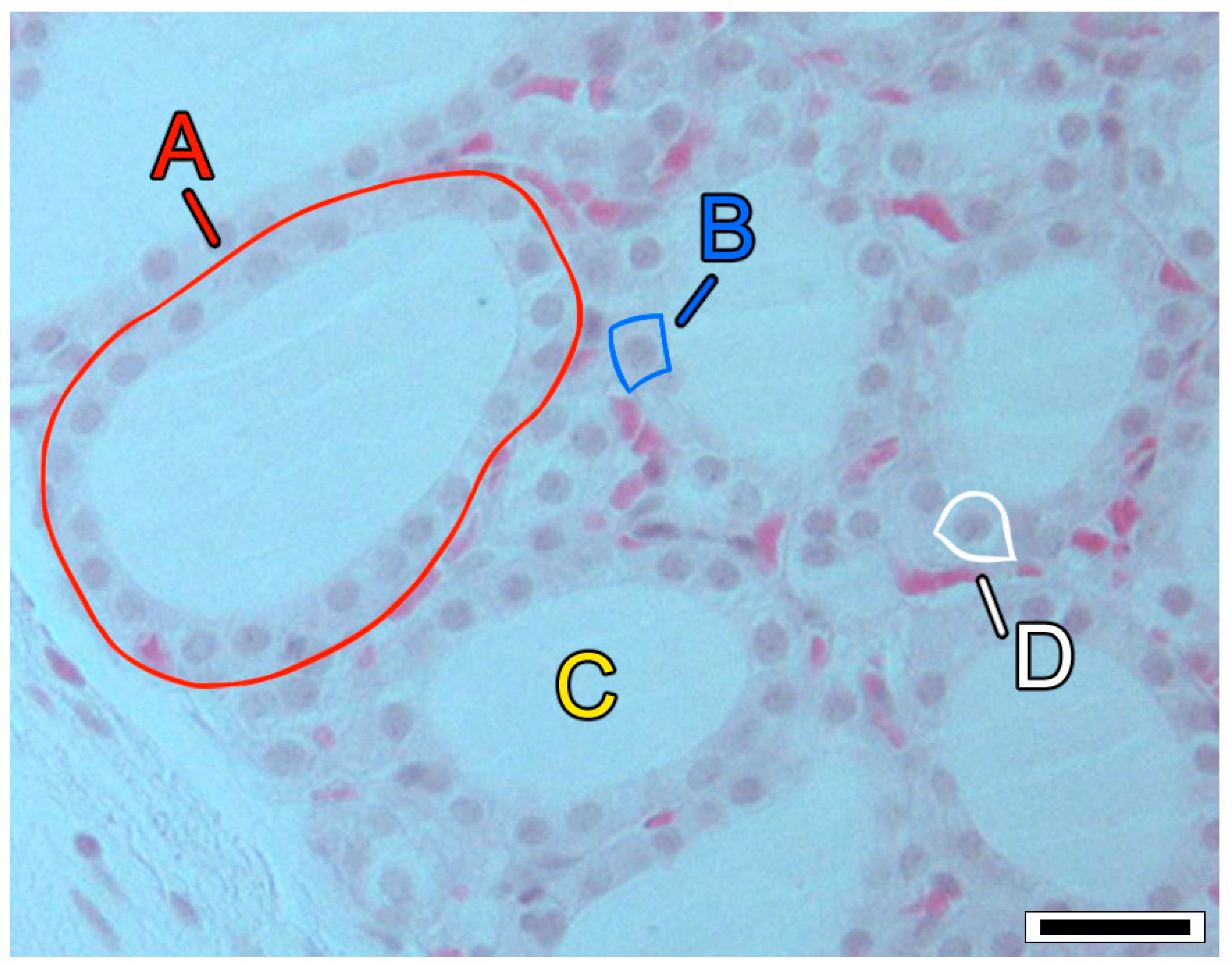 Environments 13 00066 g001