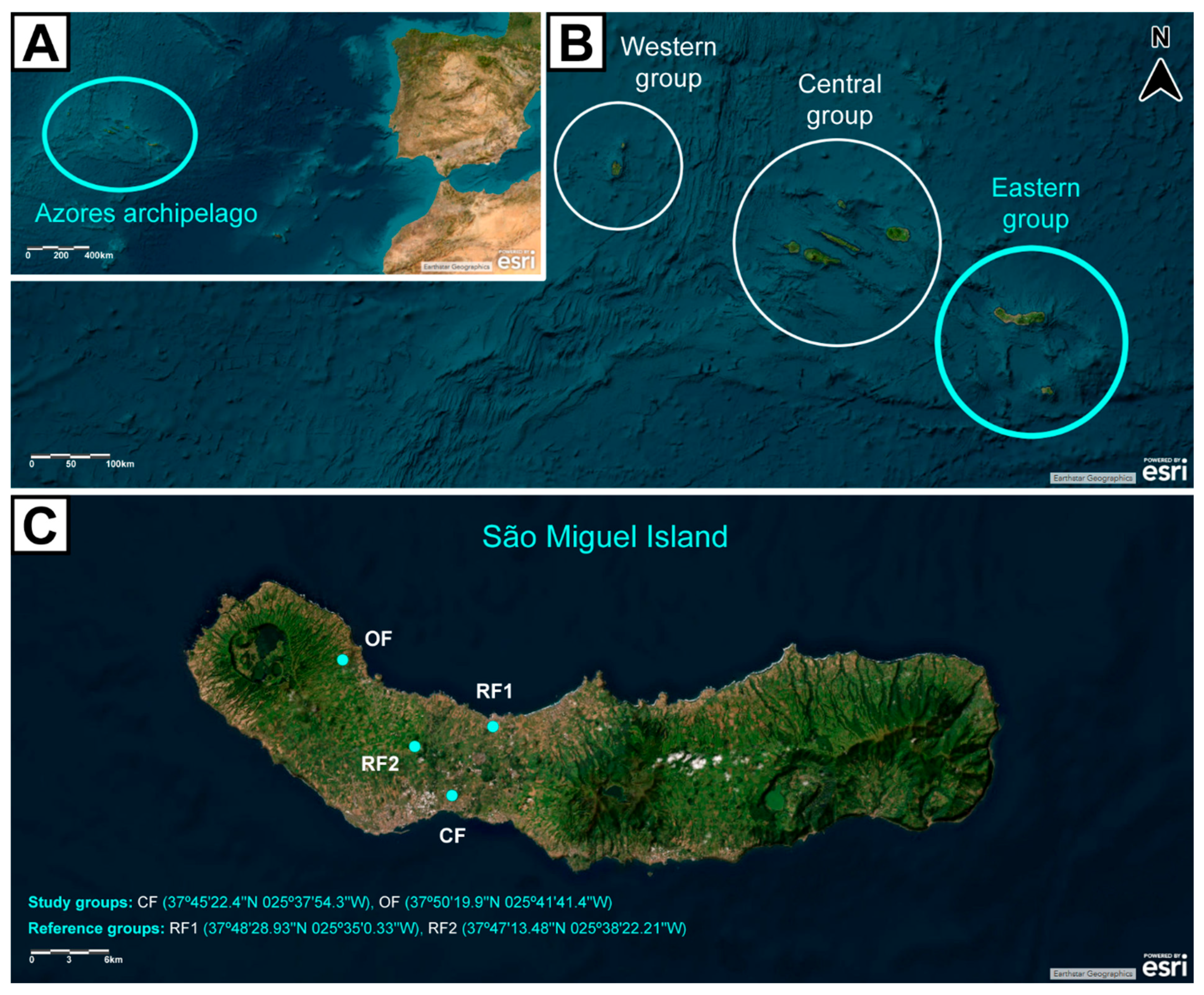 Environments 13 00066 g002