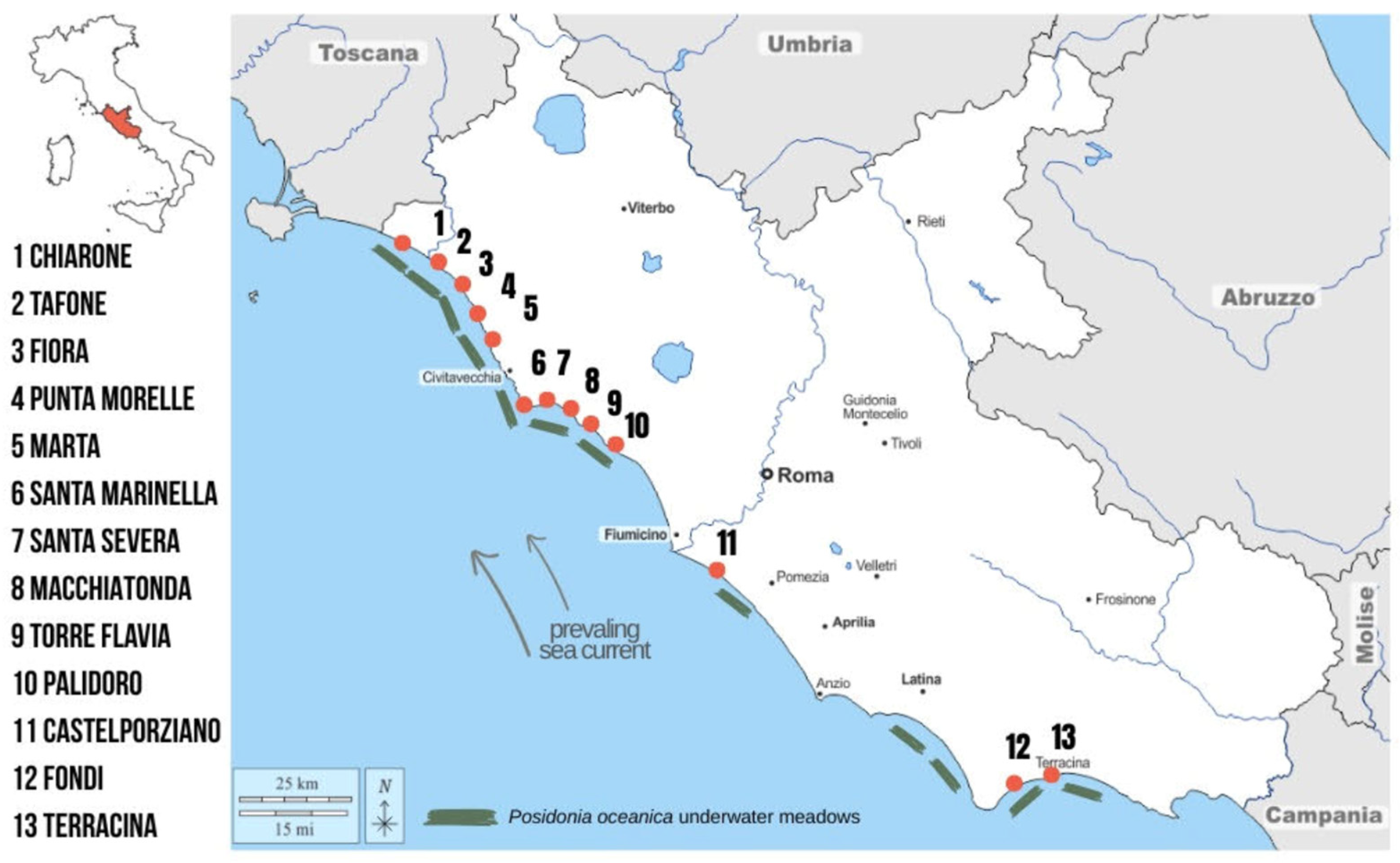 Environments 13 00071 g001