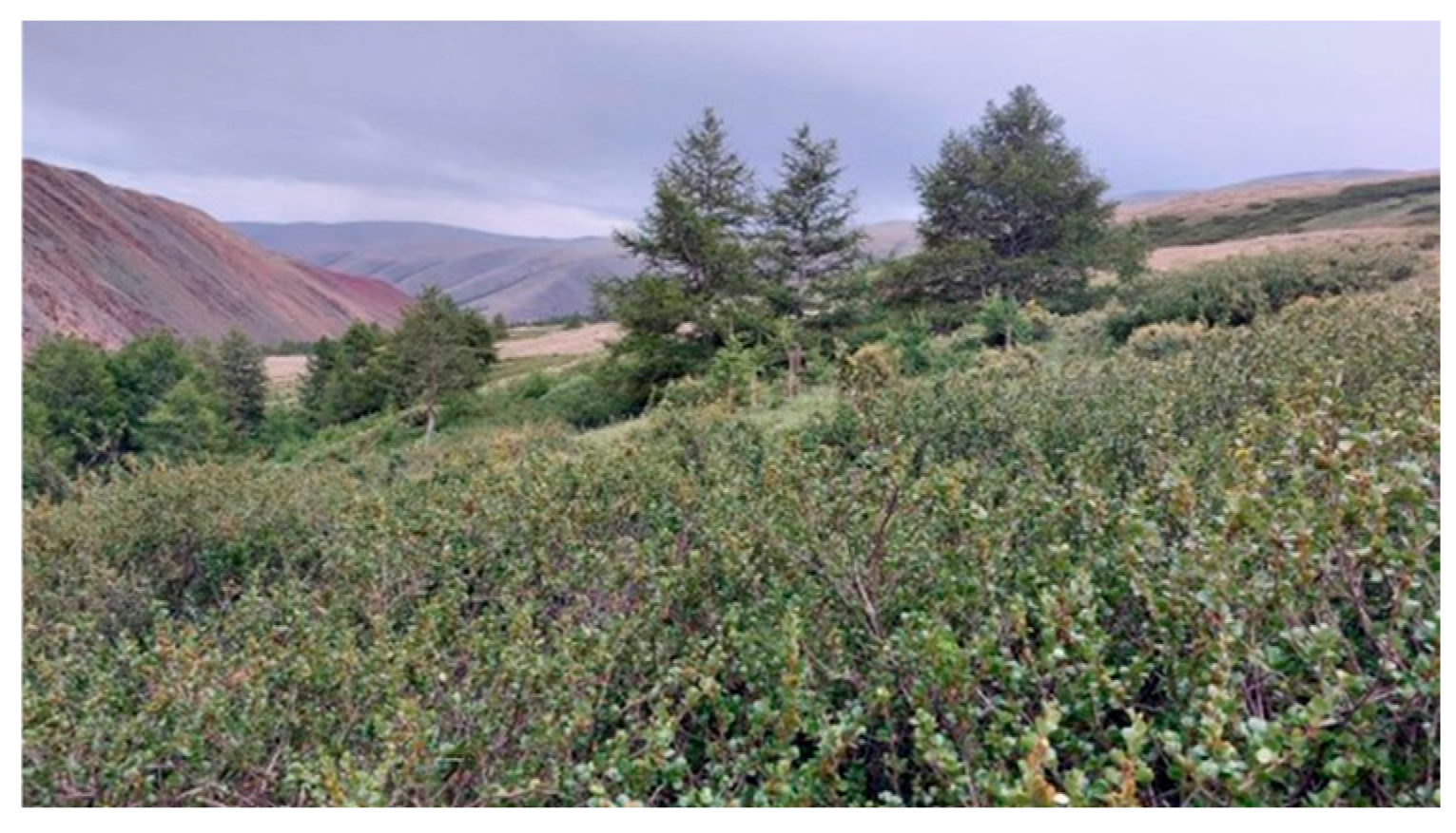 Environments 13 00128 g011 Environments 13 00128 g011