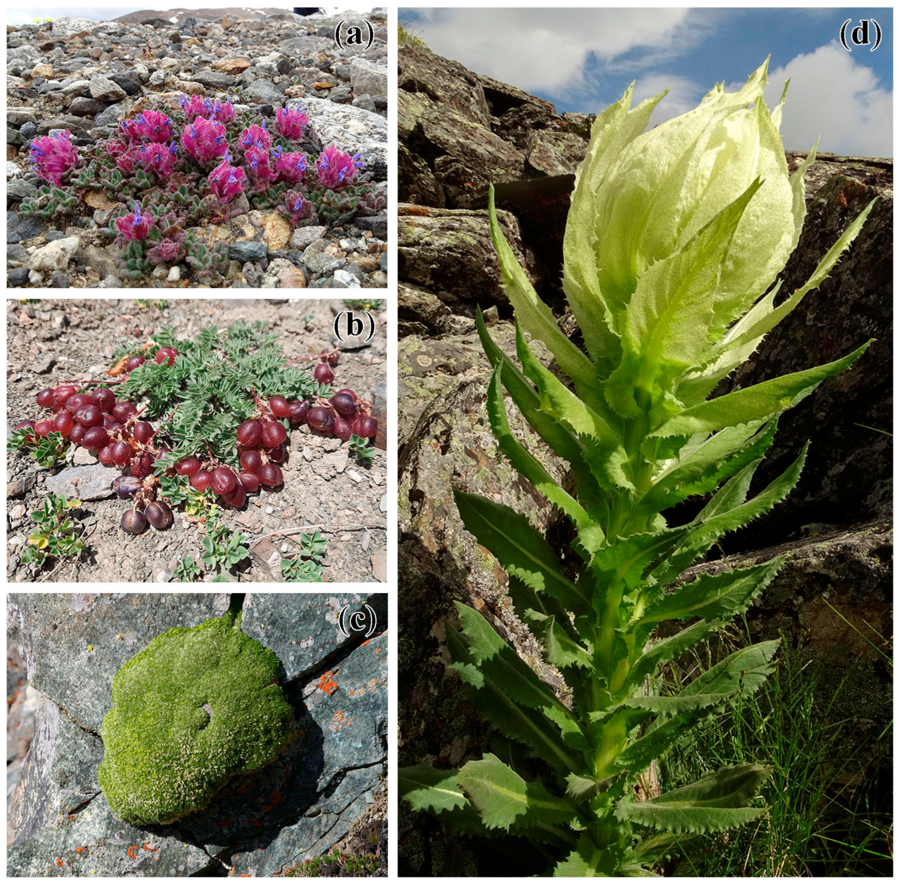 Environments 13 00128 g013 Environments 13 00128 g013