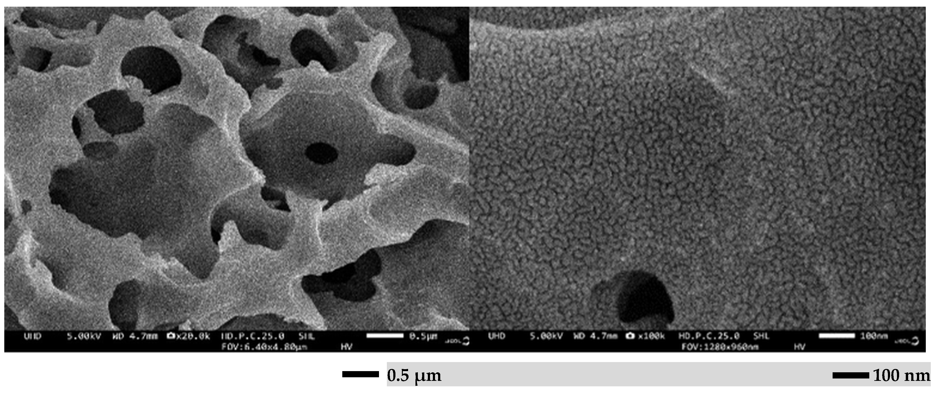 Environments 13 00174 g007