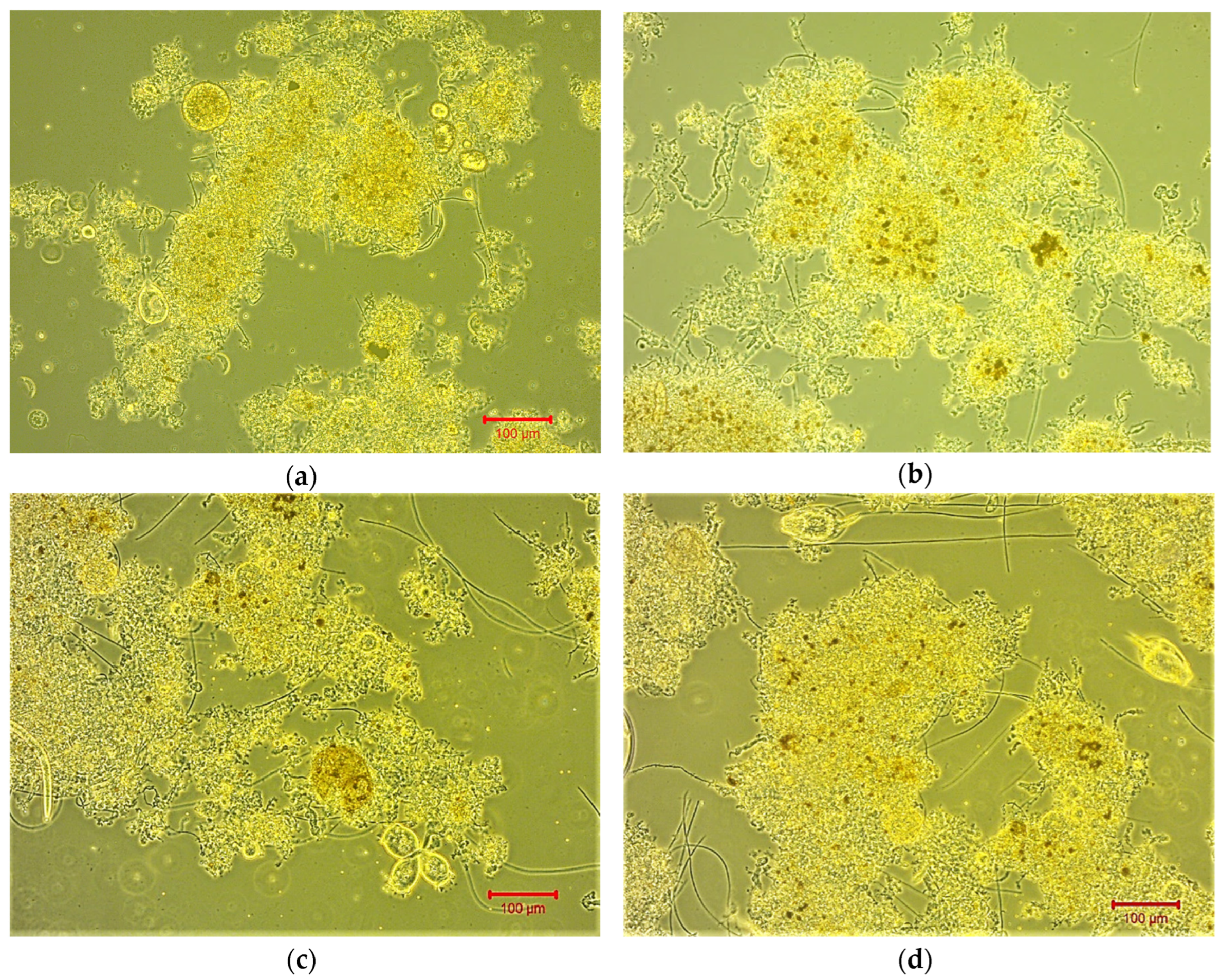Environsciproc 02 00039 g003