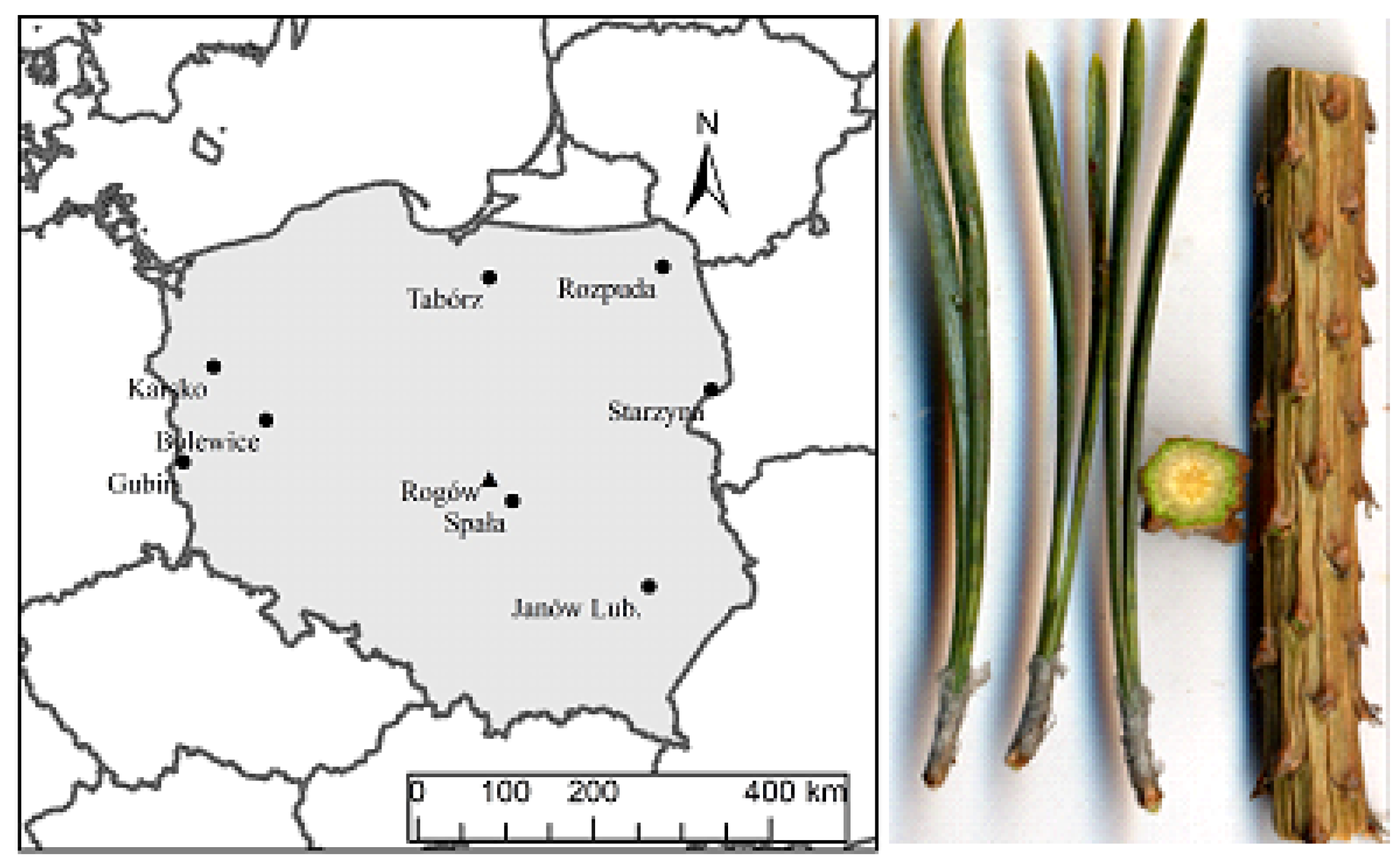 Environsciproc 03 00032 g001
