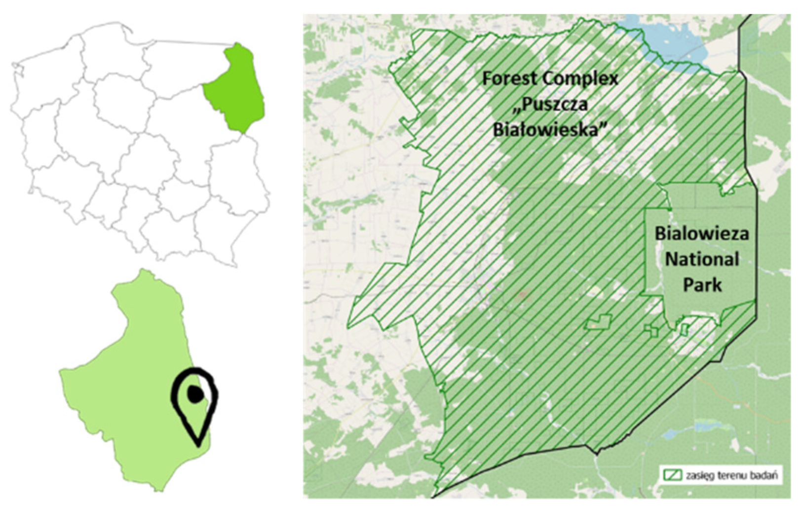 Environsciproc 03 00097 g001