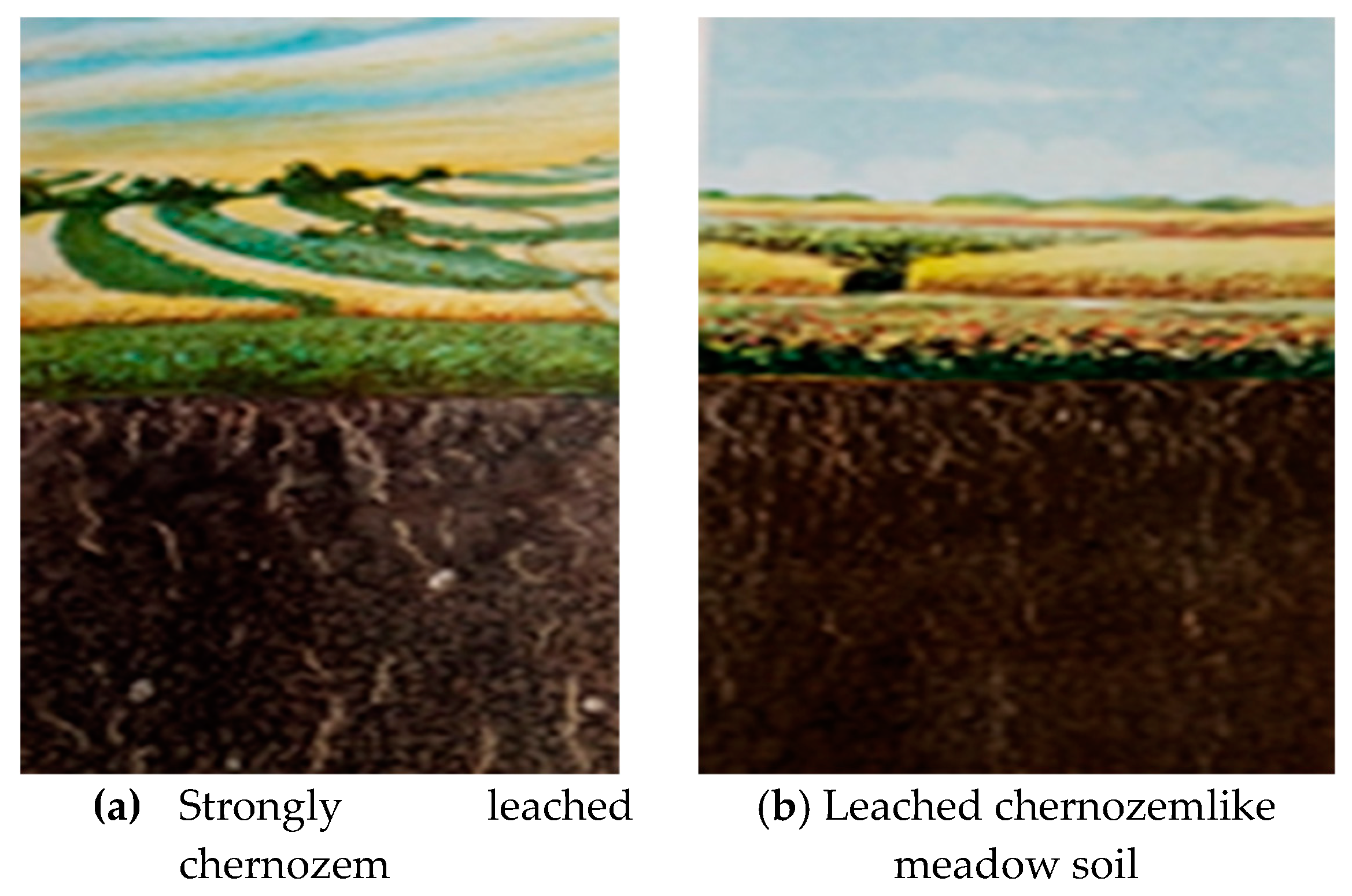 Environsciproc 04 00021 g001