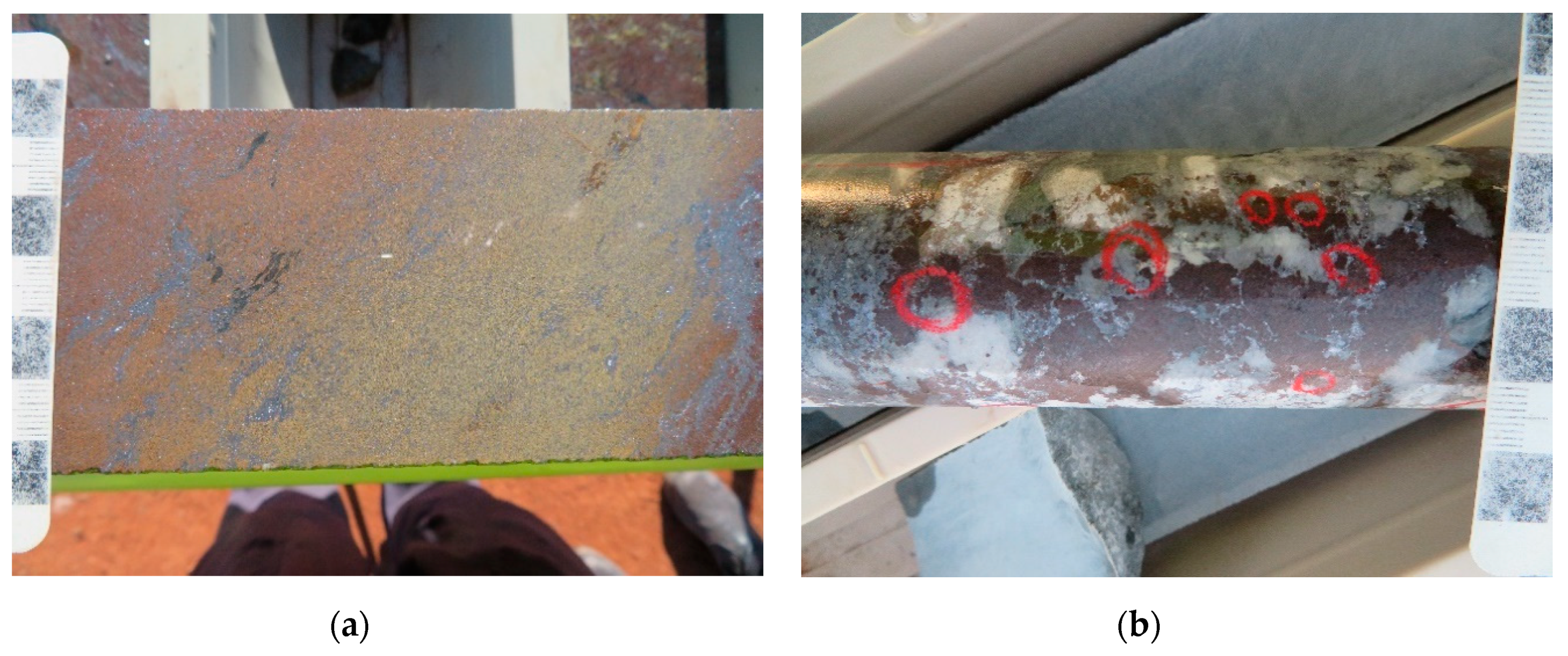 Environsciproc 06 00029 g004