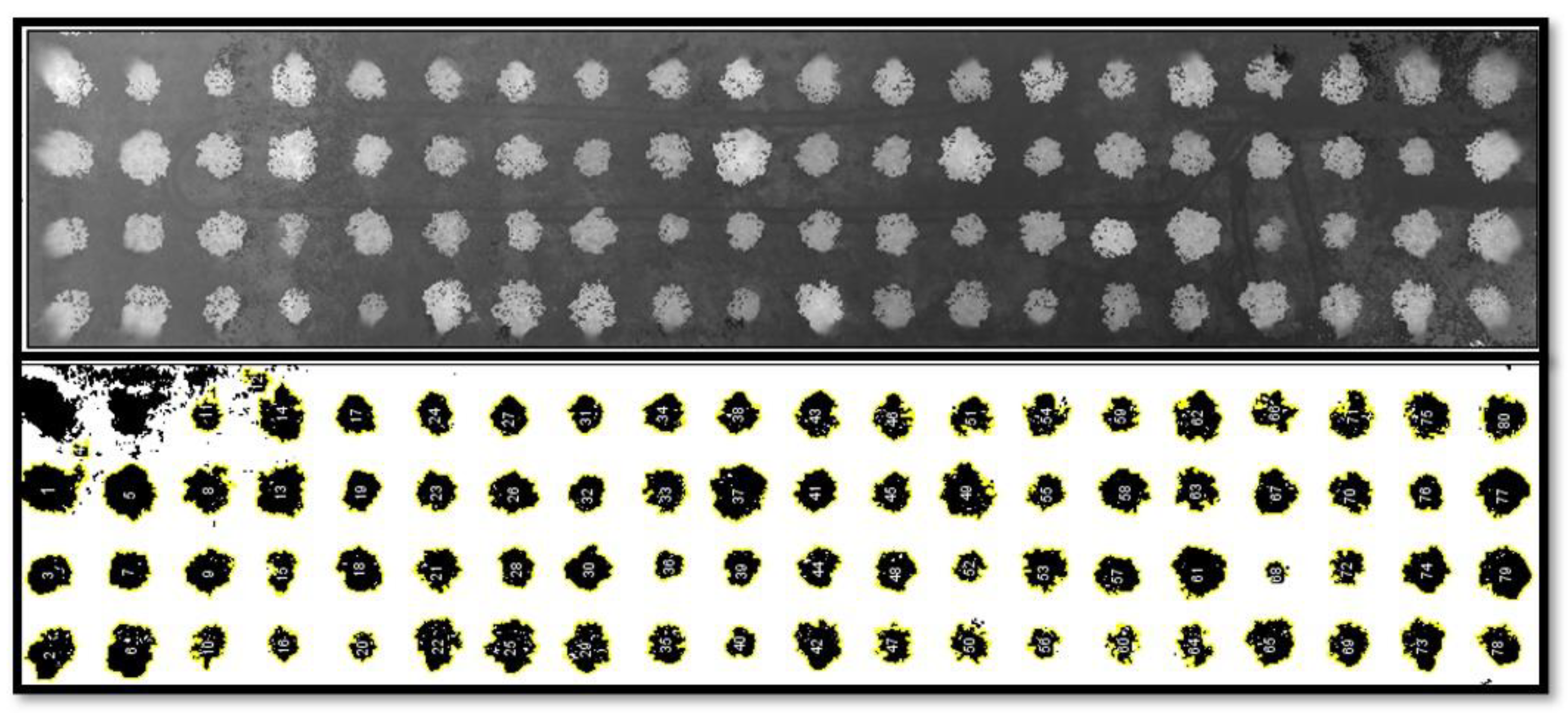 Environsciproc 13 00024 g002