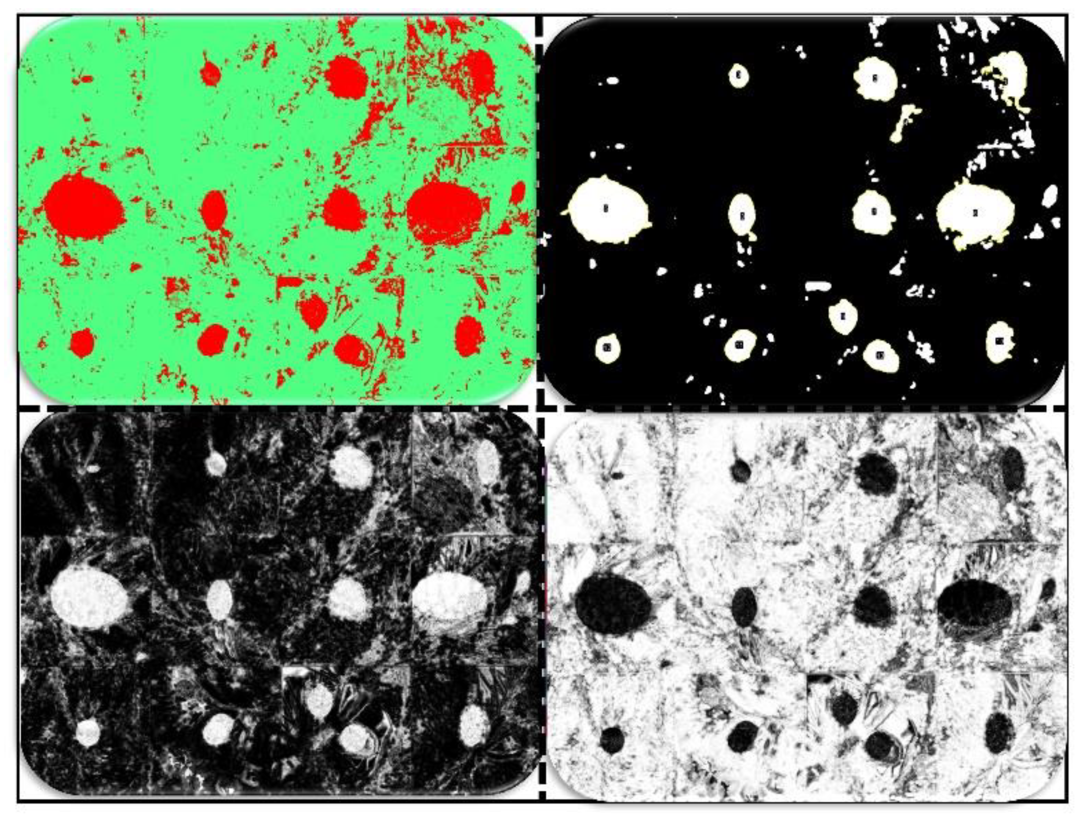 Environsciproc 13 00024 g004