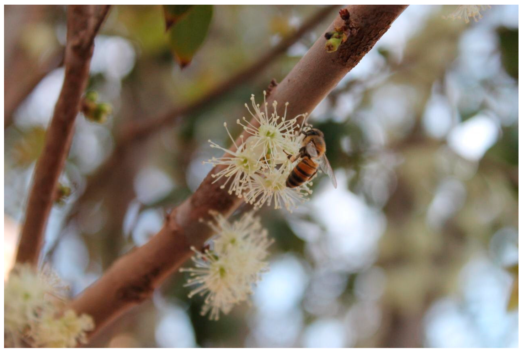 Environsciproc 15 00007 g001